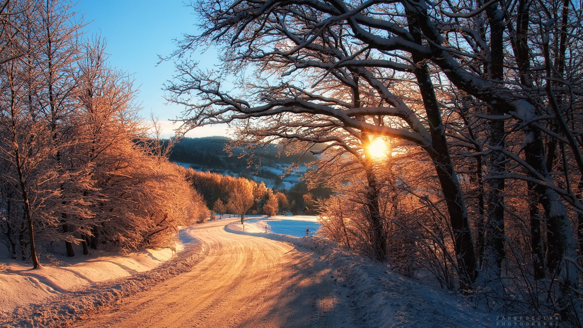 Winding road through snowy forest at sunset HD Wallpaper