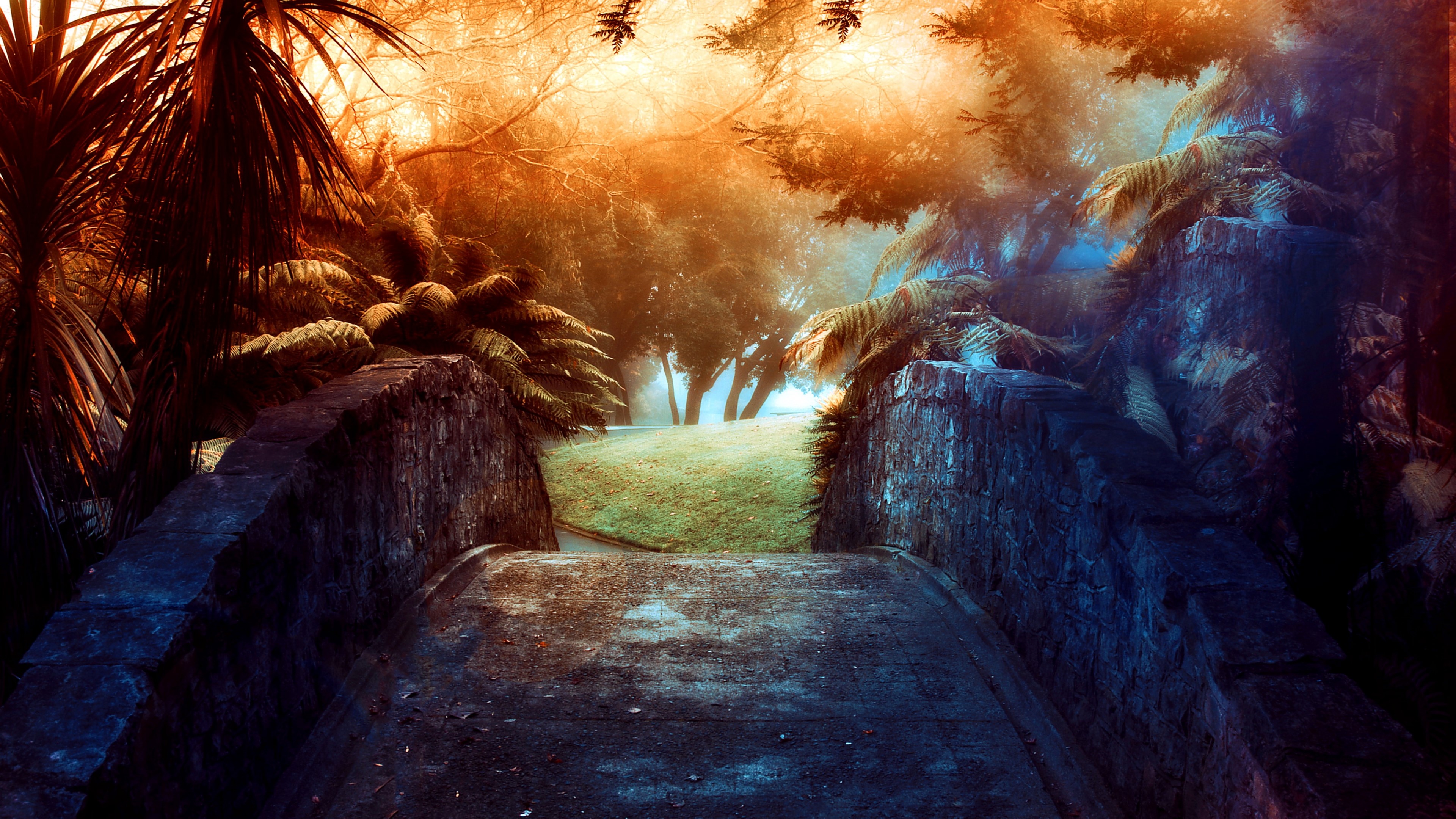 4K Bridge in a Forest HD Wallpaper