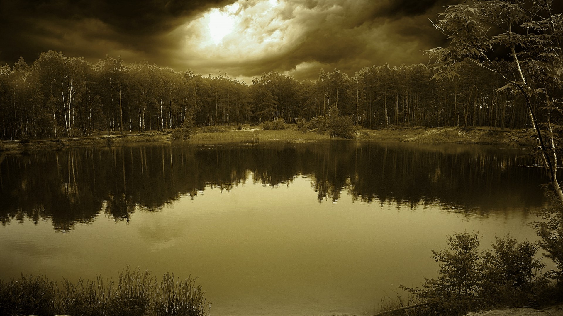 Lake with forest and stormy sky HD Wallpaper