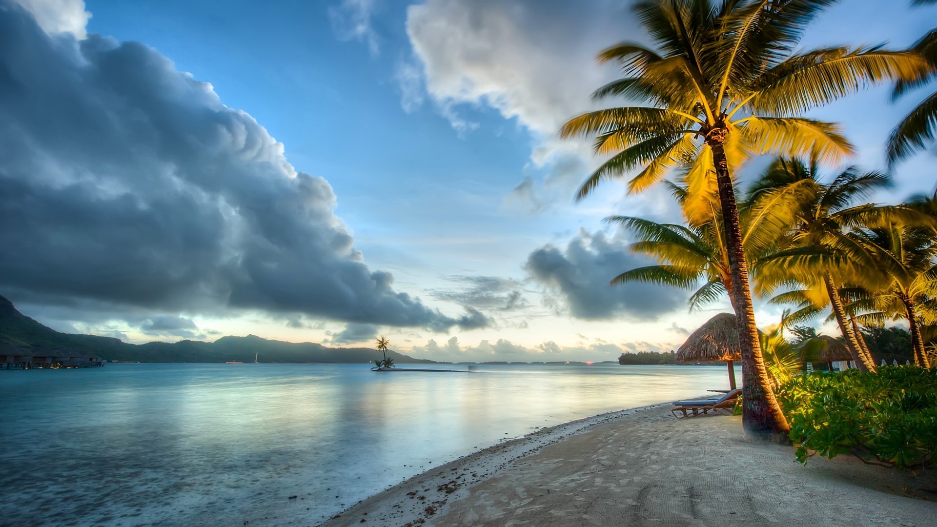Tropical beach with palm trees and ocean HD Wallpaper