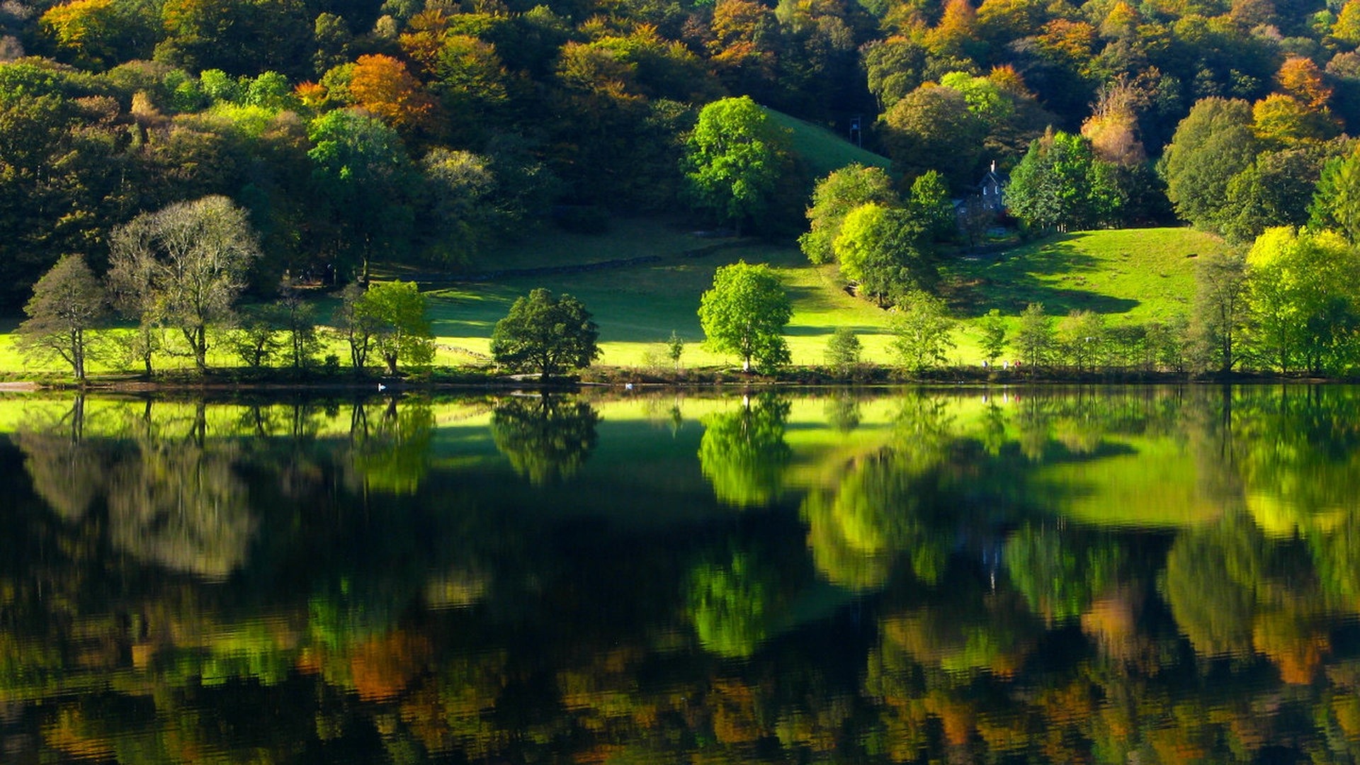 Autumn trees reflected in a calm river HD Wallpaper