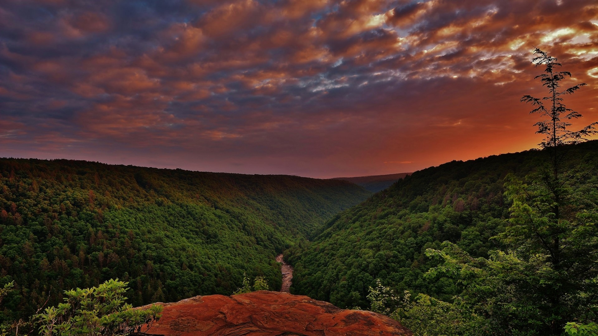 Sunset over a forested valley HD Wallpaper