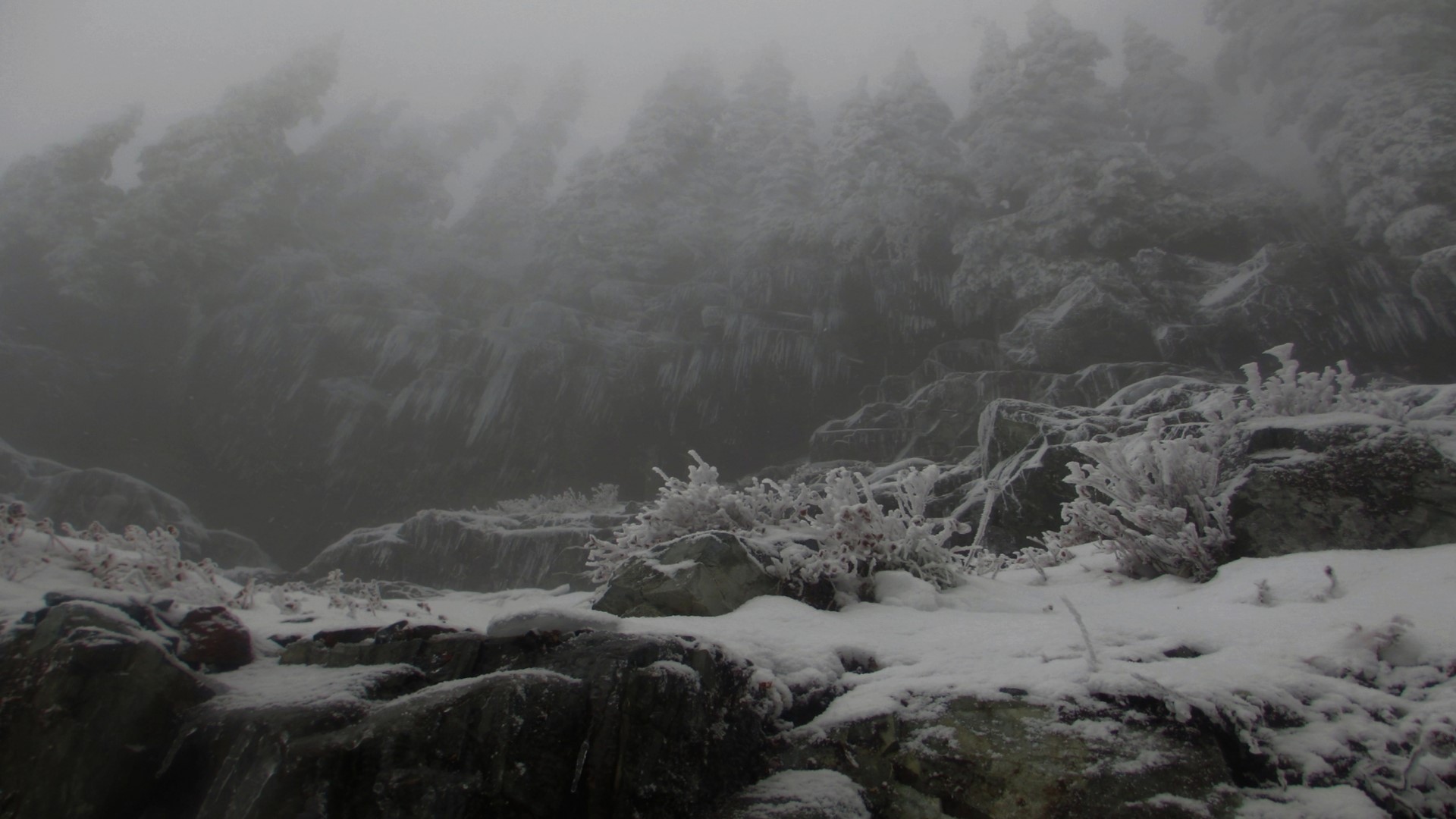 Foggy mountain landscape with snow-covered rocks and trees HD Wallpaper