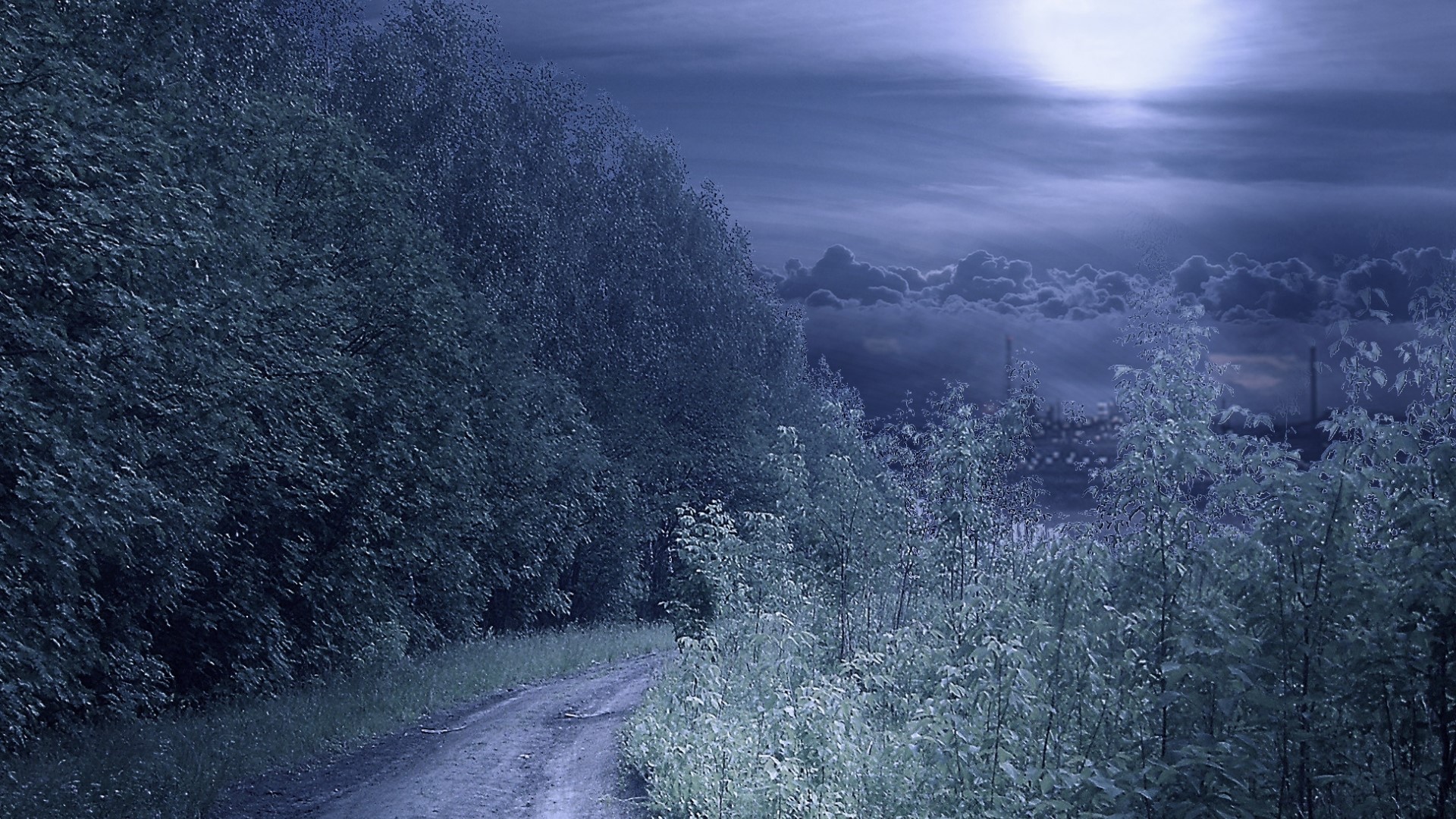Dirt road through a forest at night HD Wallpaper