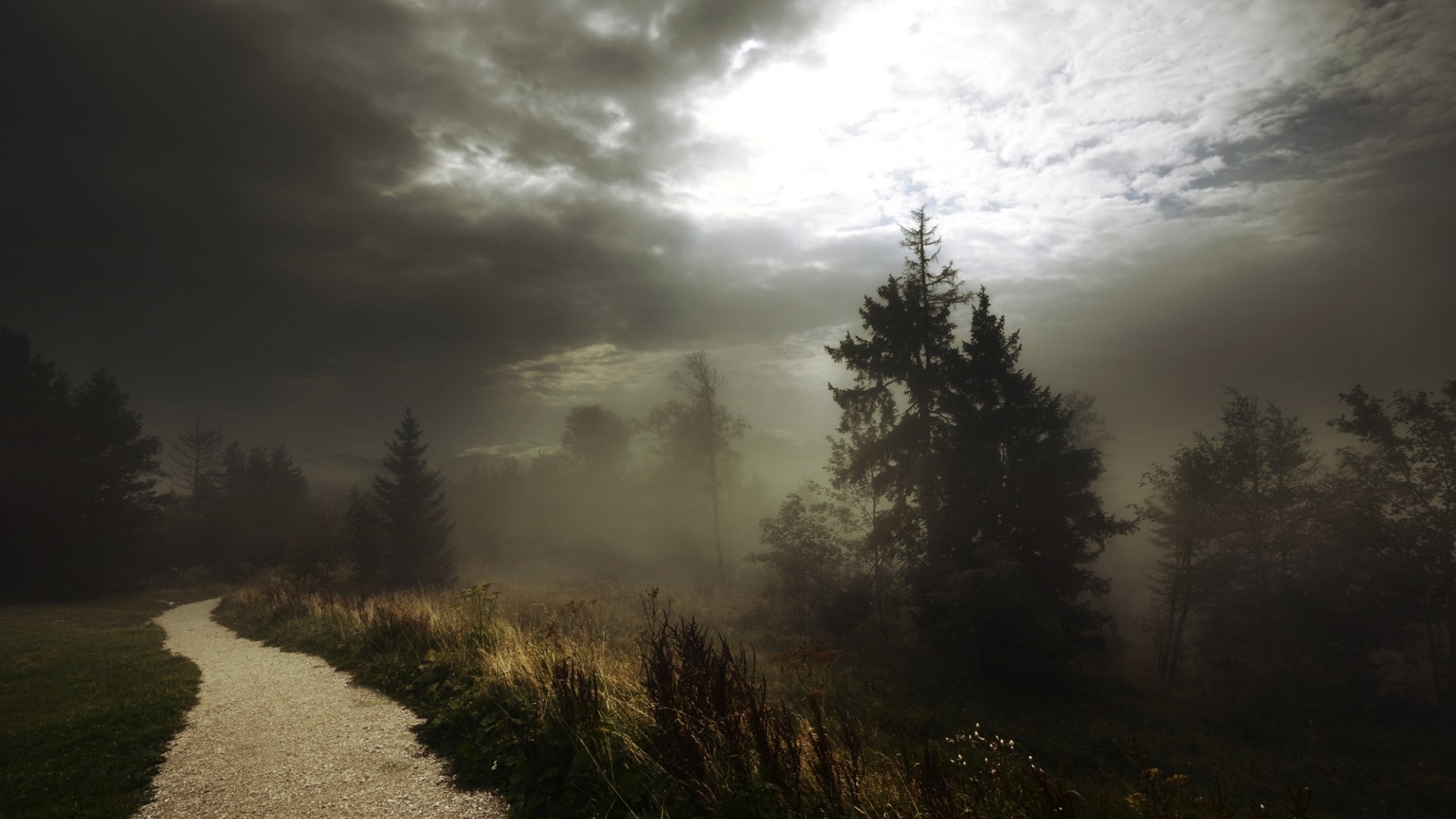 A foggy forest path with dramatic clouds HD Wallpaper