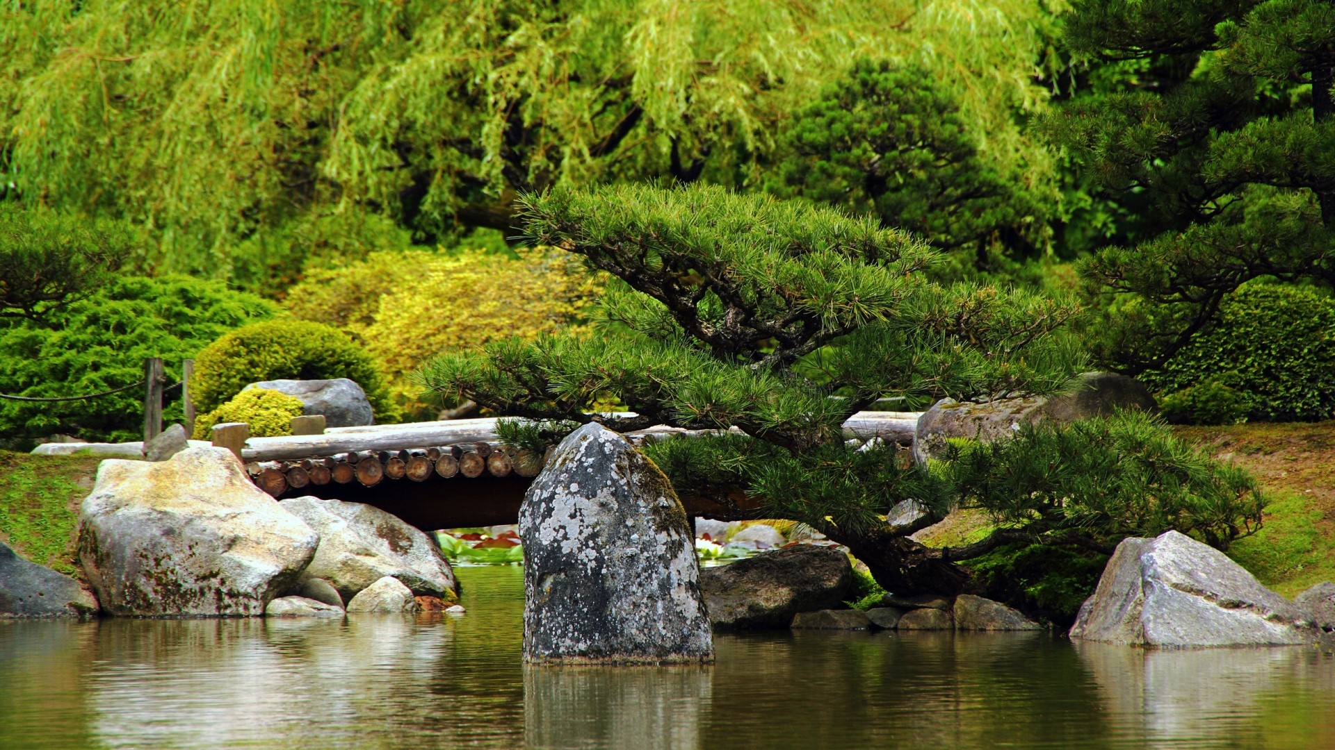 Japanese garden with pond and bridge HD Wallpaper