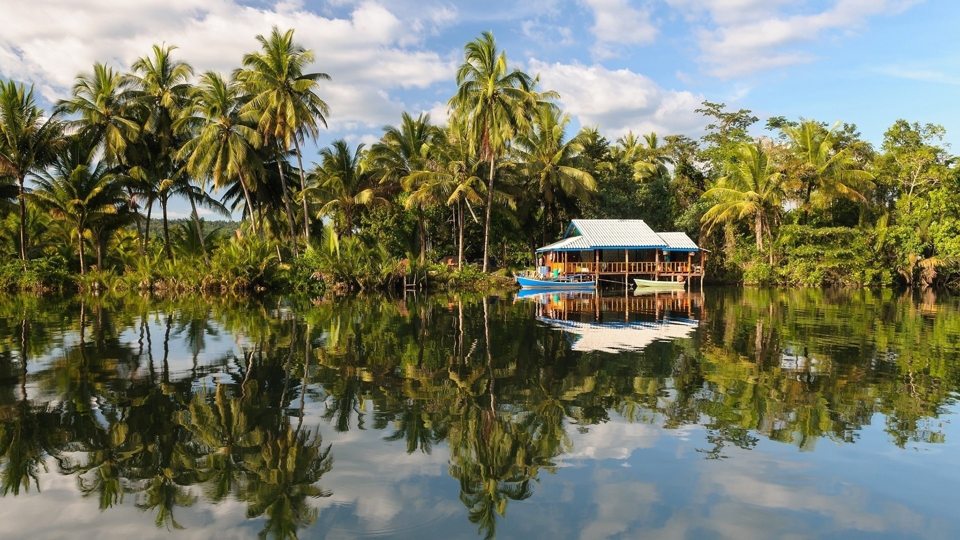 Tropical house on stilts by a river with palm trees HD Wallpaper