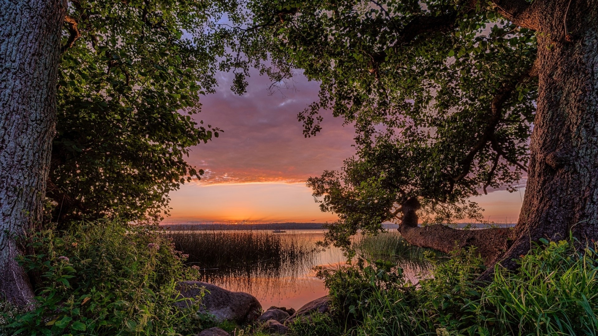 Sunset over a lake framed by trees HD Wallpaper