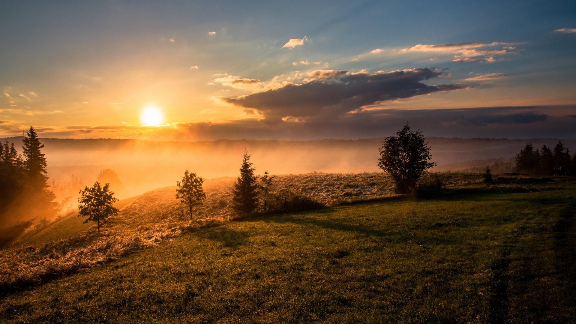 Sunrise over a misty valley with trees HD Wallpaper