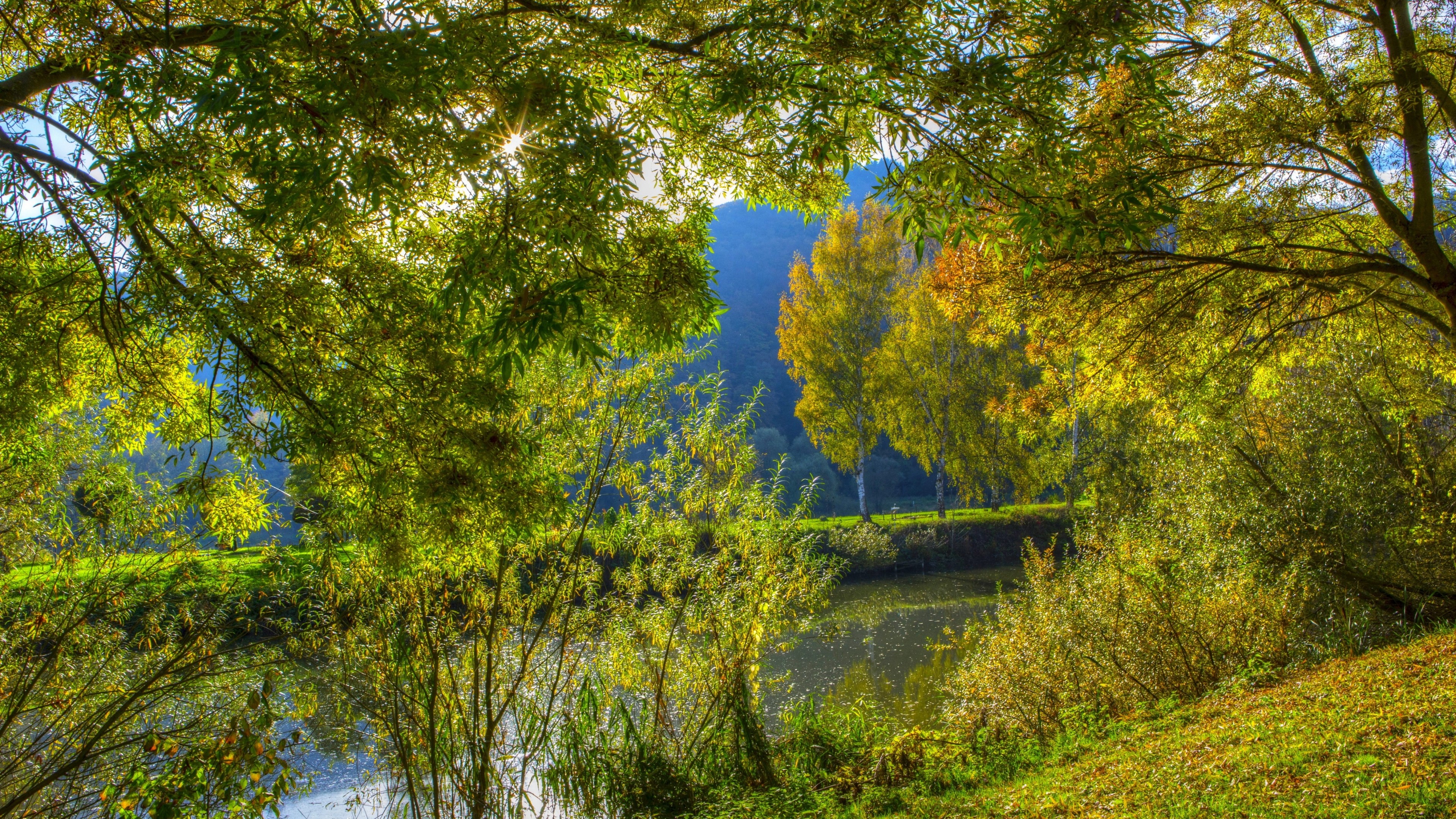 4K Nature Landscape with Trees and River HD Wallpaper