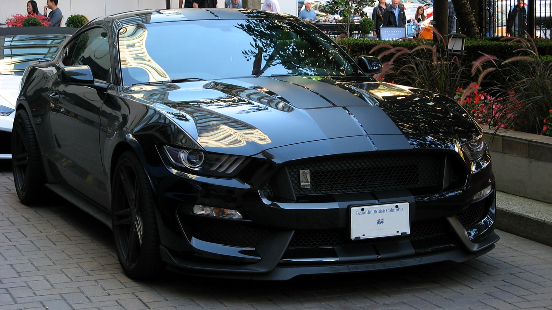 Black Ford Mustang Shelby GT350 HD Wallpaper