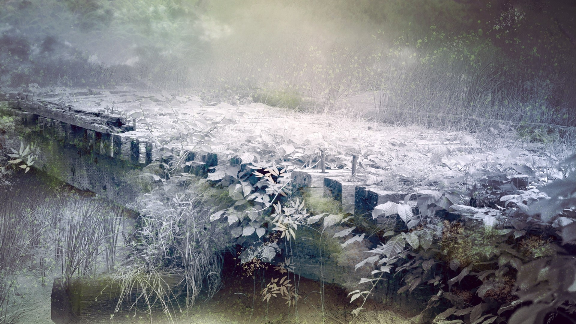 Abandoned bridge overgrown with plants HD Wallpaper