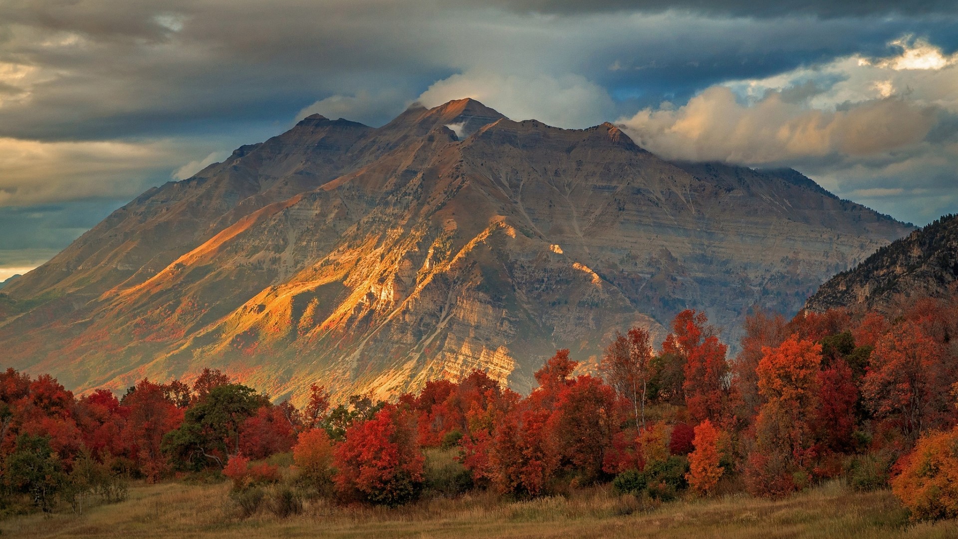 Mountain range with autumn trees and dramatic clouds HD Wallpaper