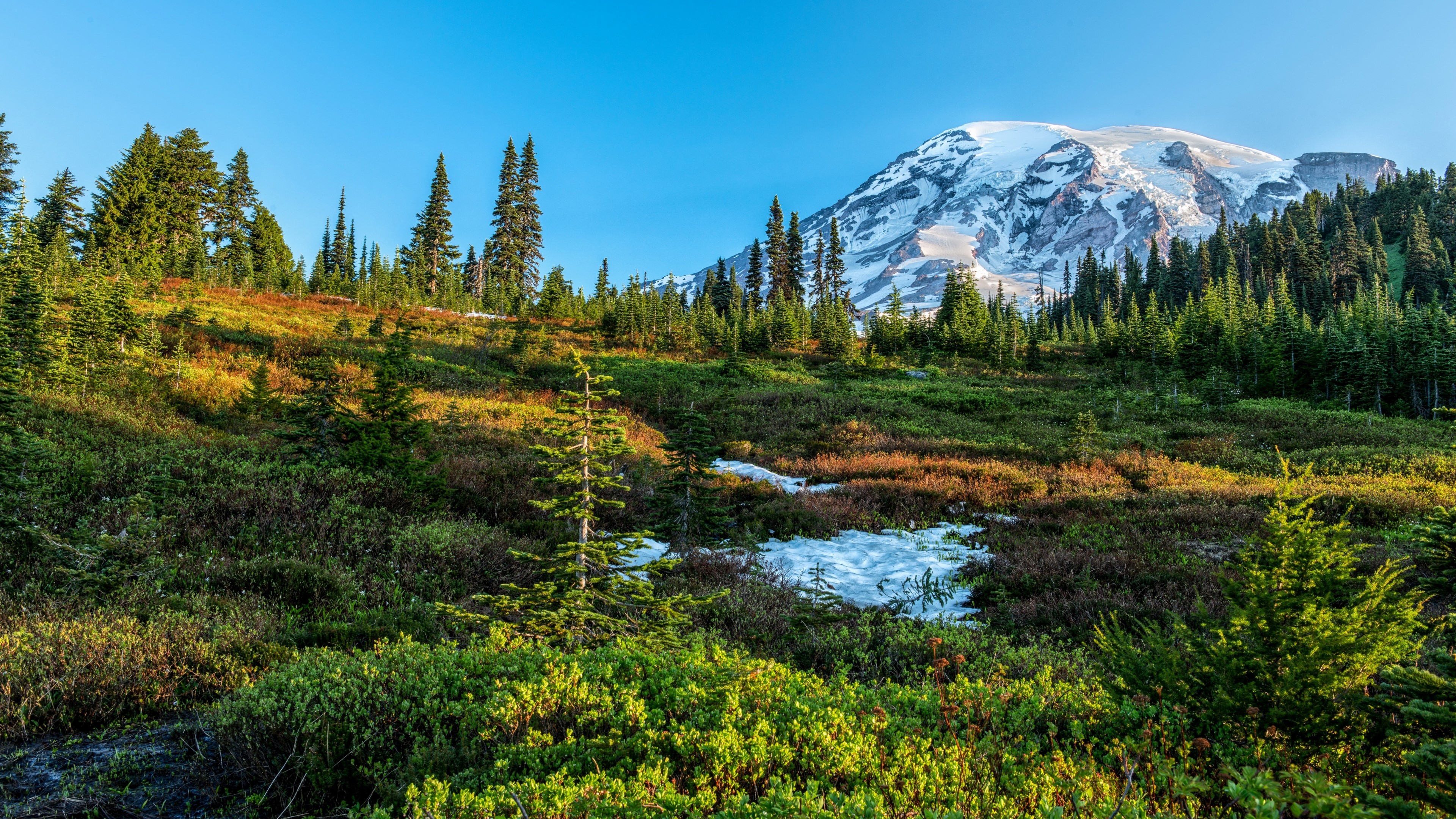 4K Nature Landscape with Mountain and Forest HD Wallpaper