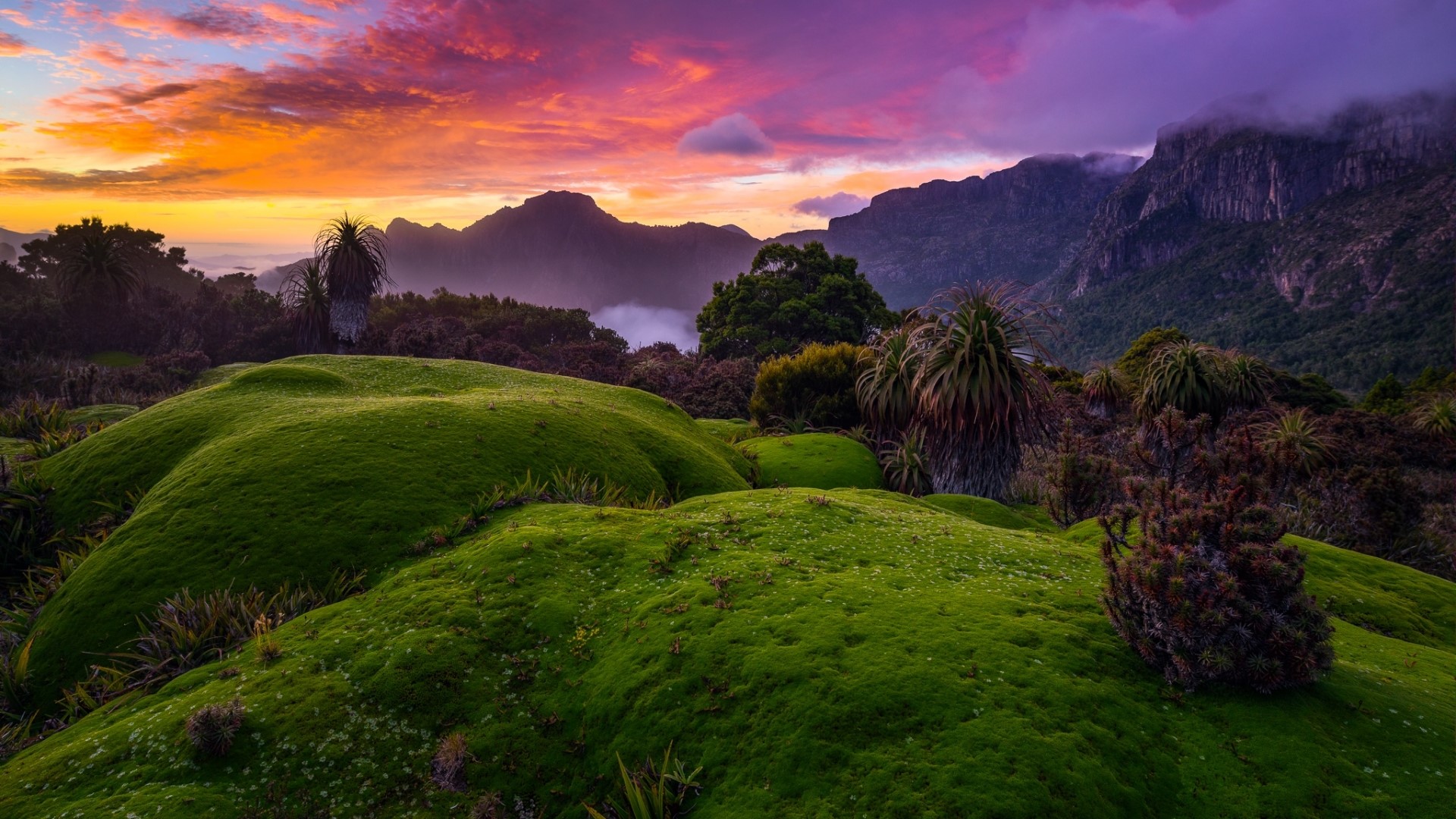 Green hills and mountains at sunset HD Wallpaper