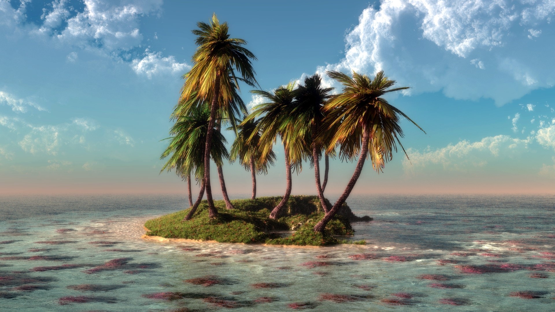 Palm trees on a small island in the ocean HD Wallpaper
