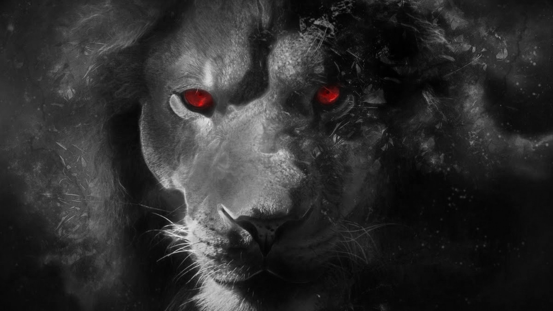 Close-up of a lion with red eyes HD Wallpaper
