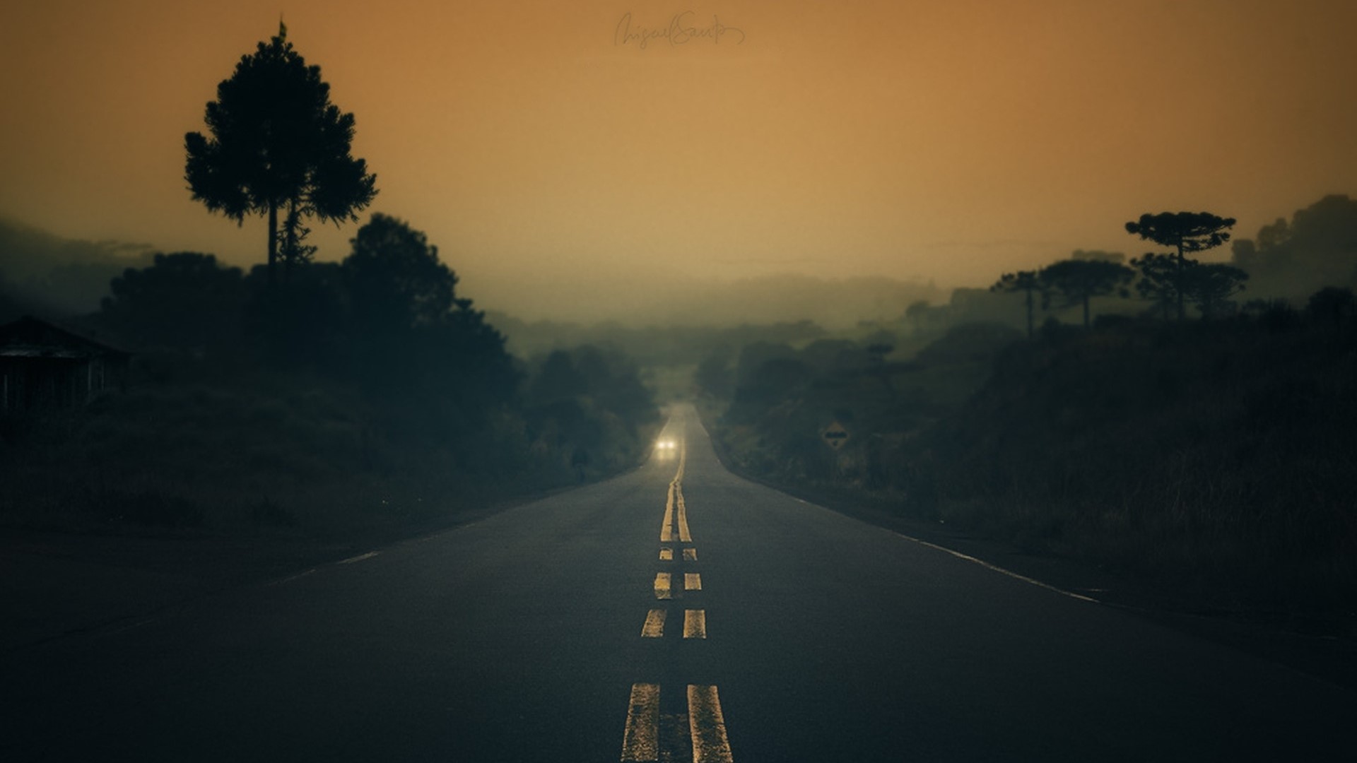 Car driving on a foggy road at dusk HD Wallpaper