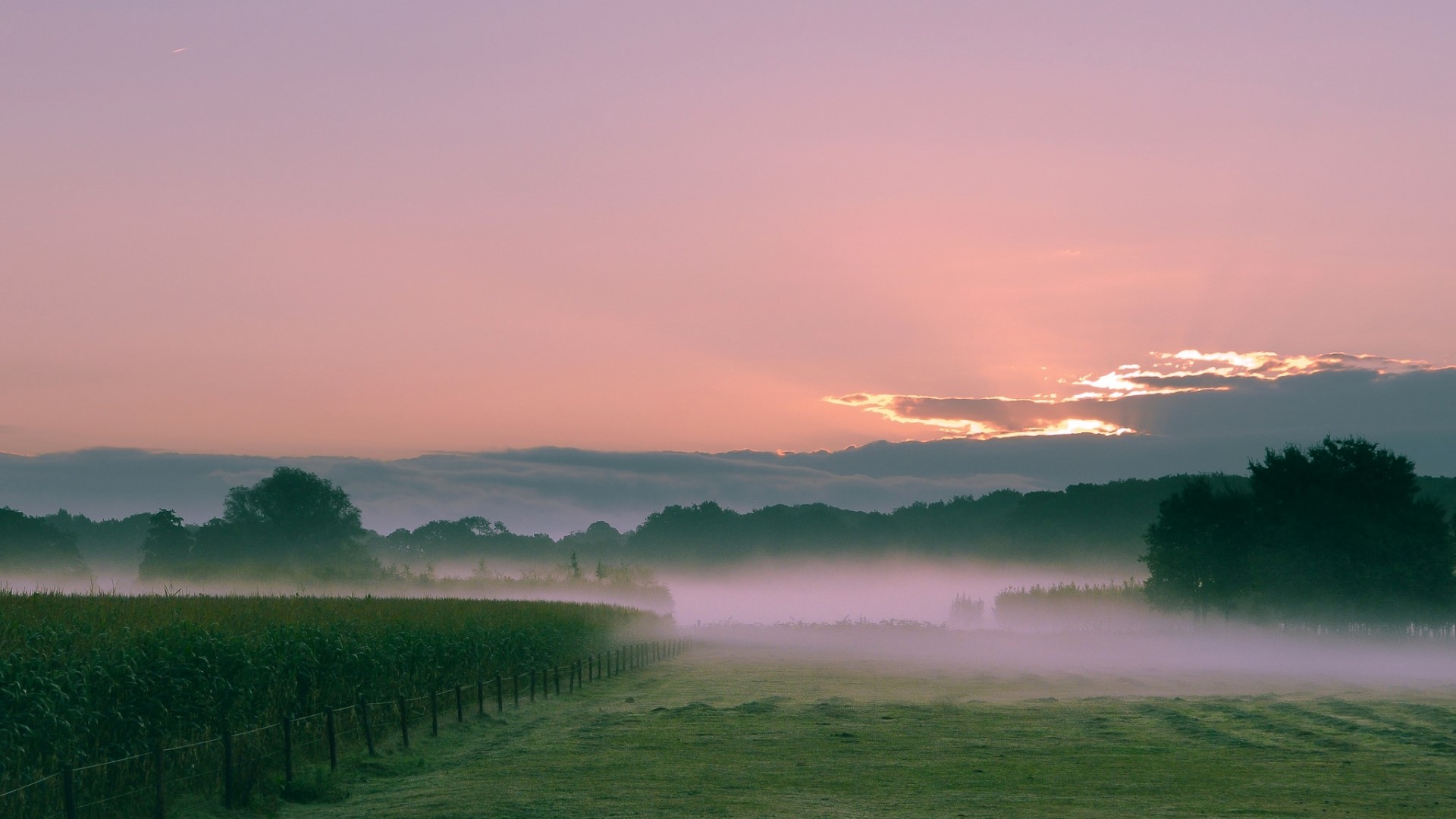 Misty Morning Sunrise Over Farmland HD Wallpaper