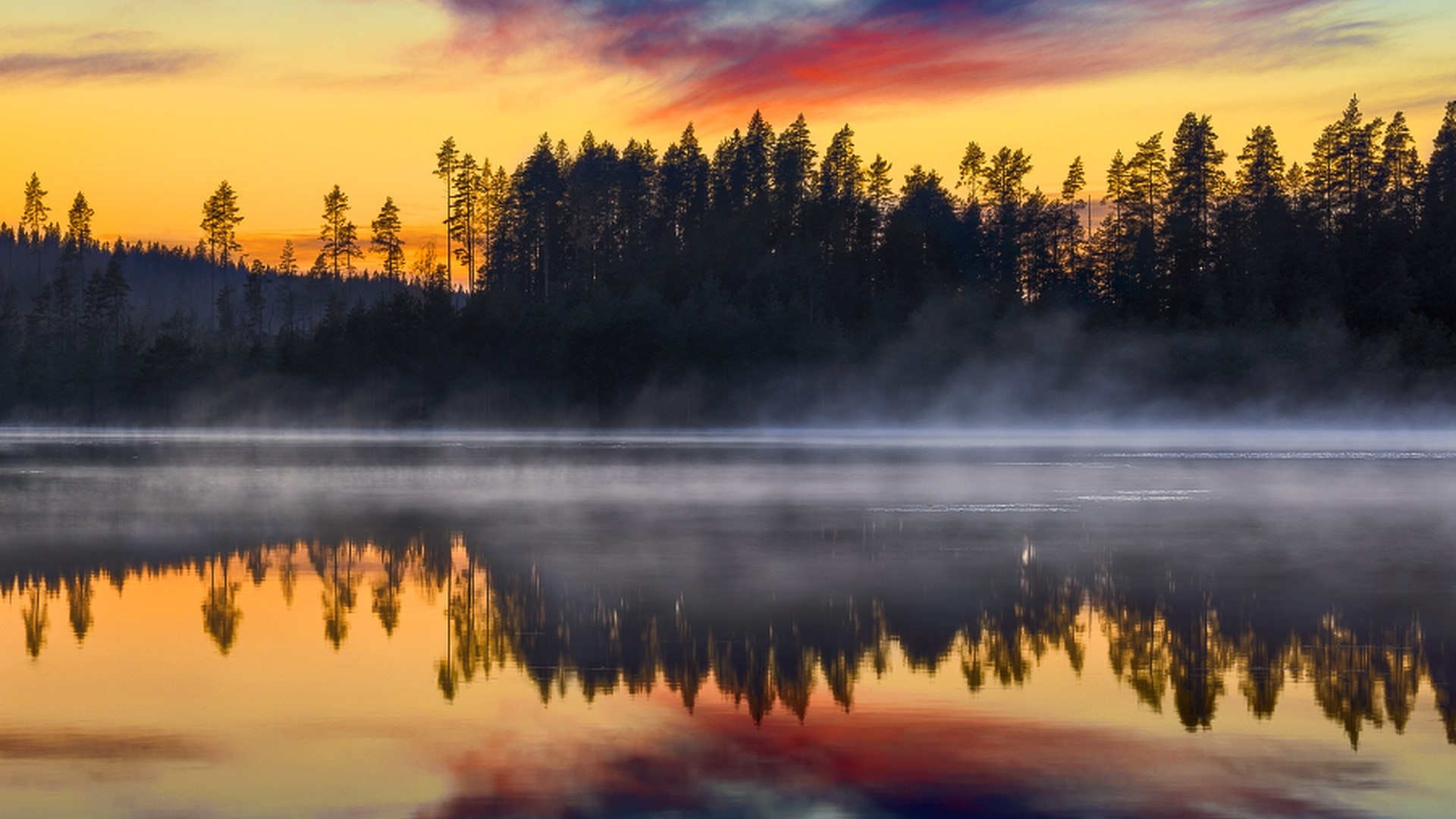 Misty lake at sunrise with forest reflection HD Wallpaper