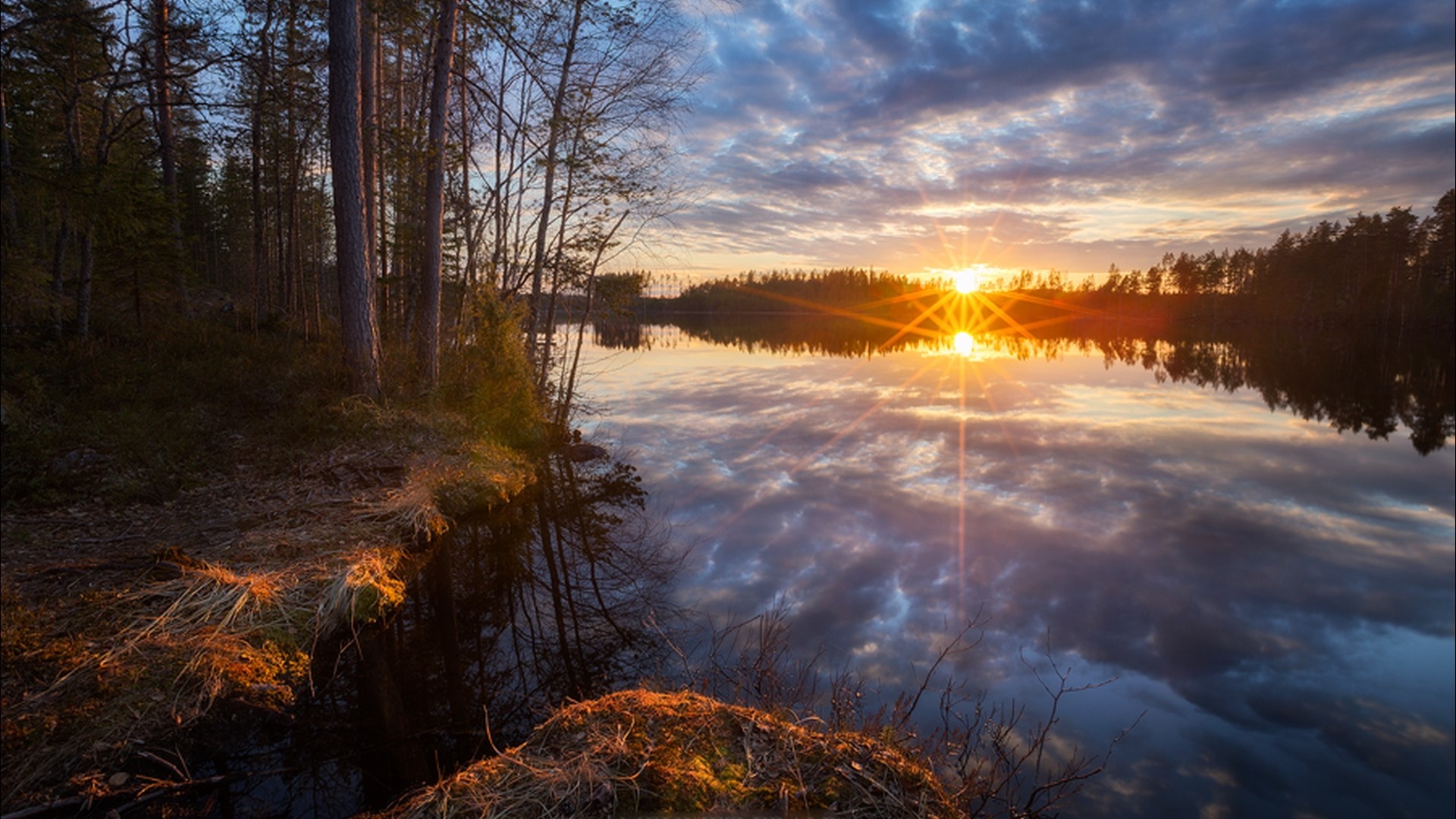 Sunset over a calm lake with trees HD Wallpaper
