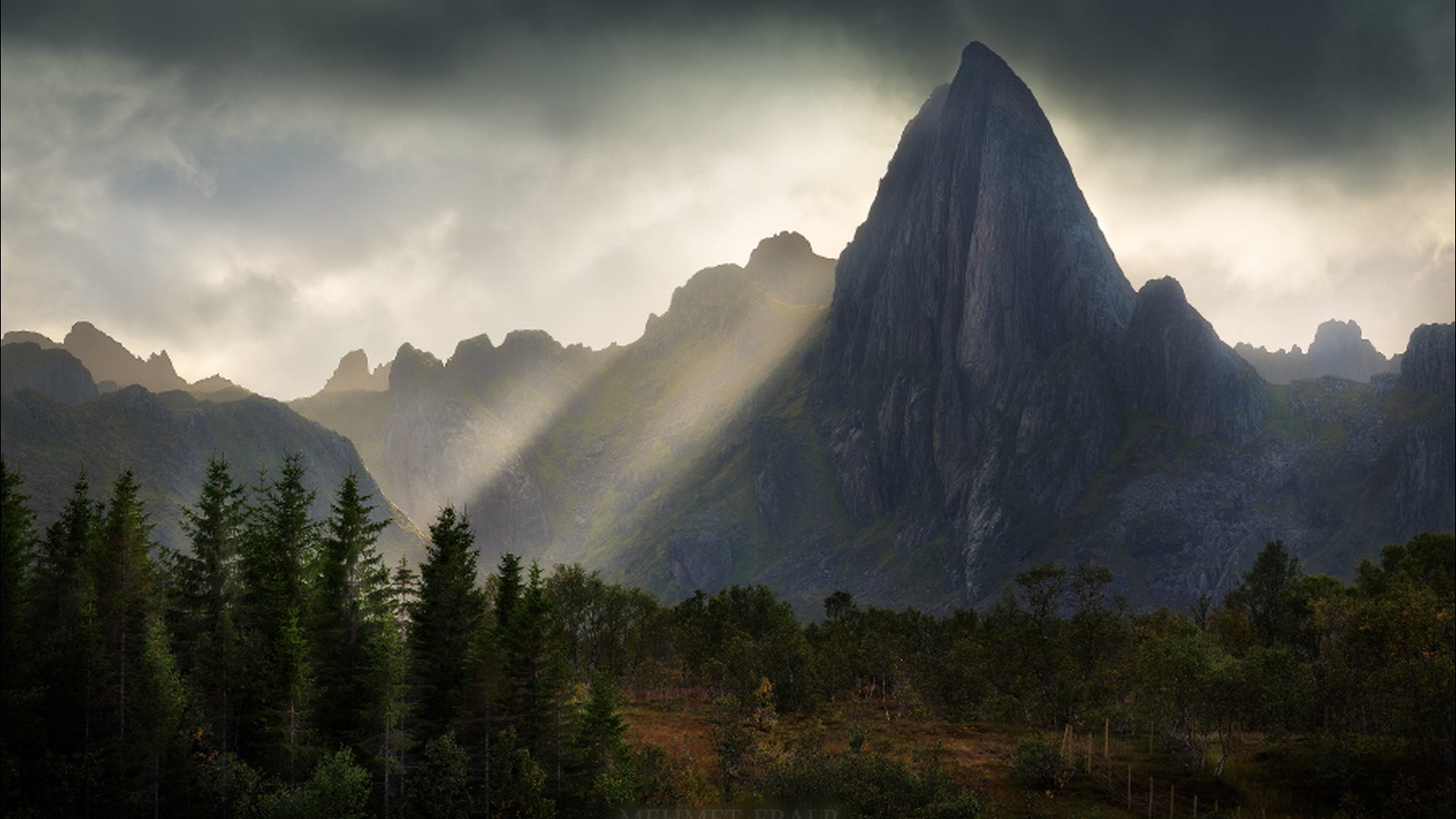 Sunbeams through mountains and forest HD Wallpaper