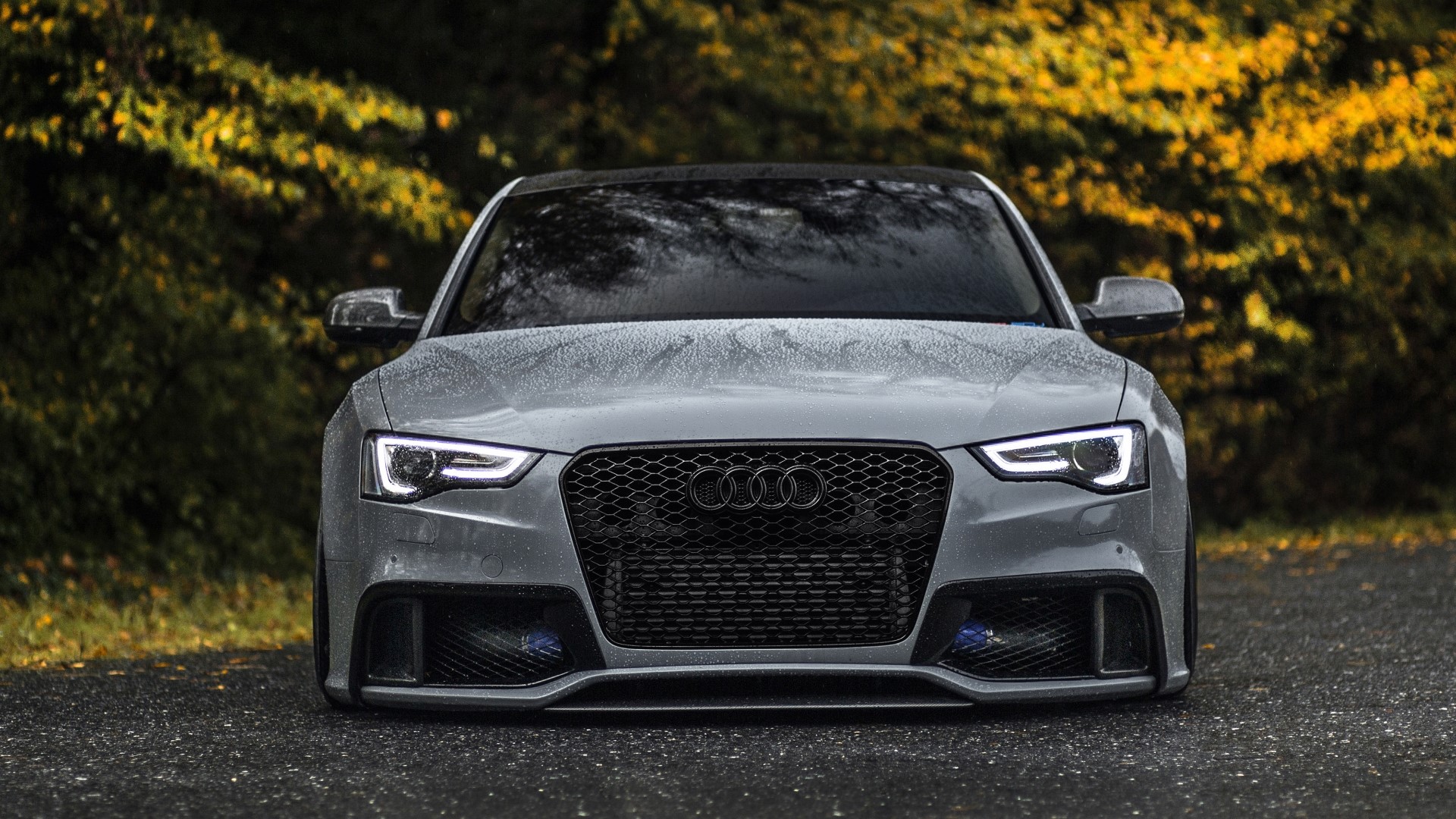 Audi RS5 front view HD Wallpaper
