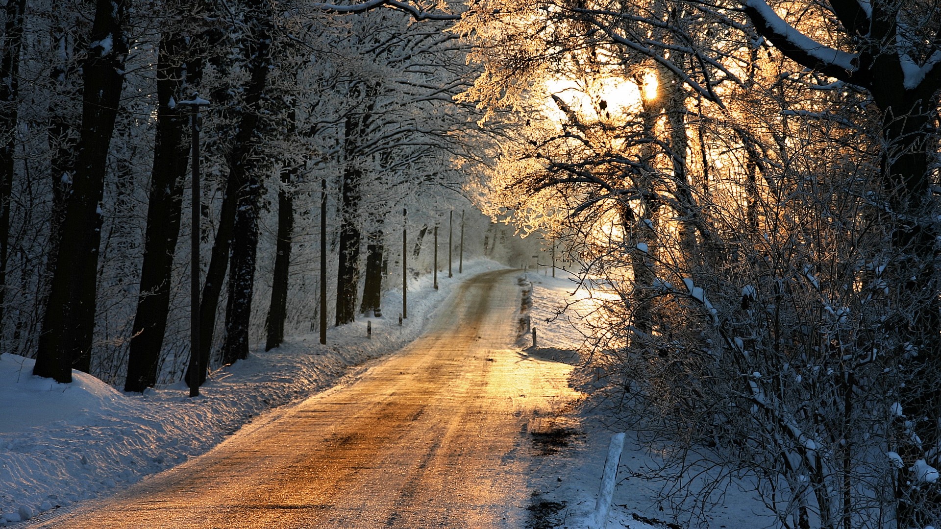Winter road through a snow-covered forest at sunrise HD Wallpaper