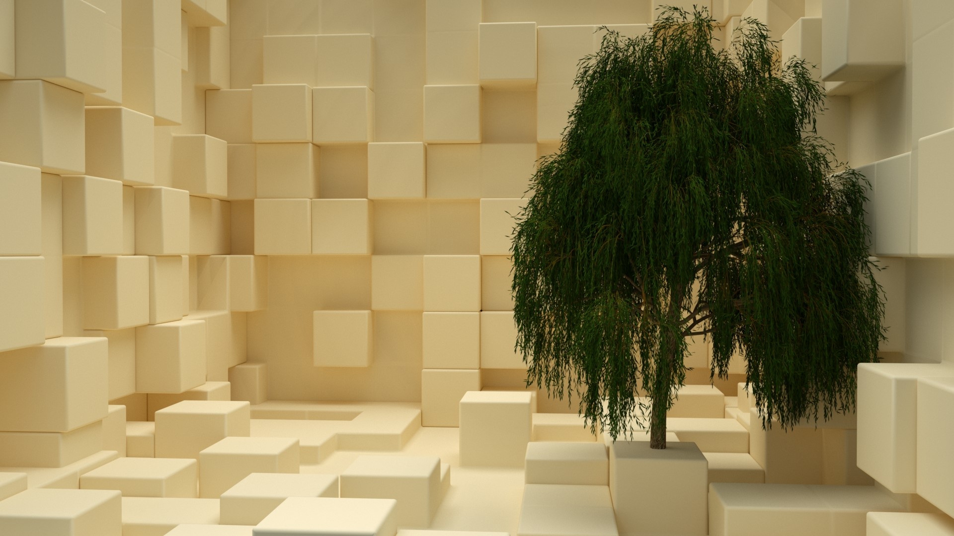 Tree in a room of cubes HD Wallpaper