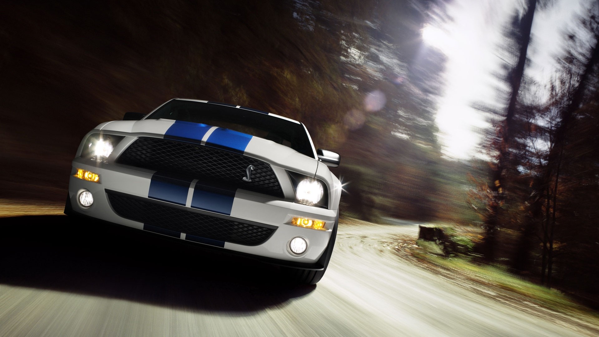 White Ford Mustang Shelby GT500 driving on a forest road HD Wallpaper