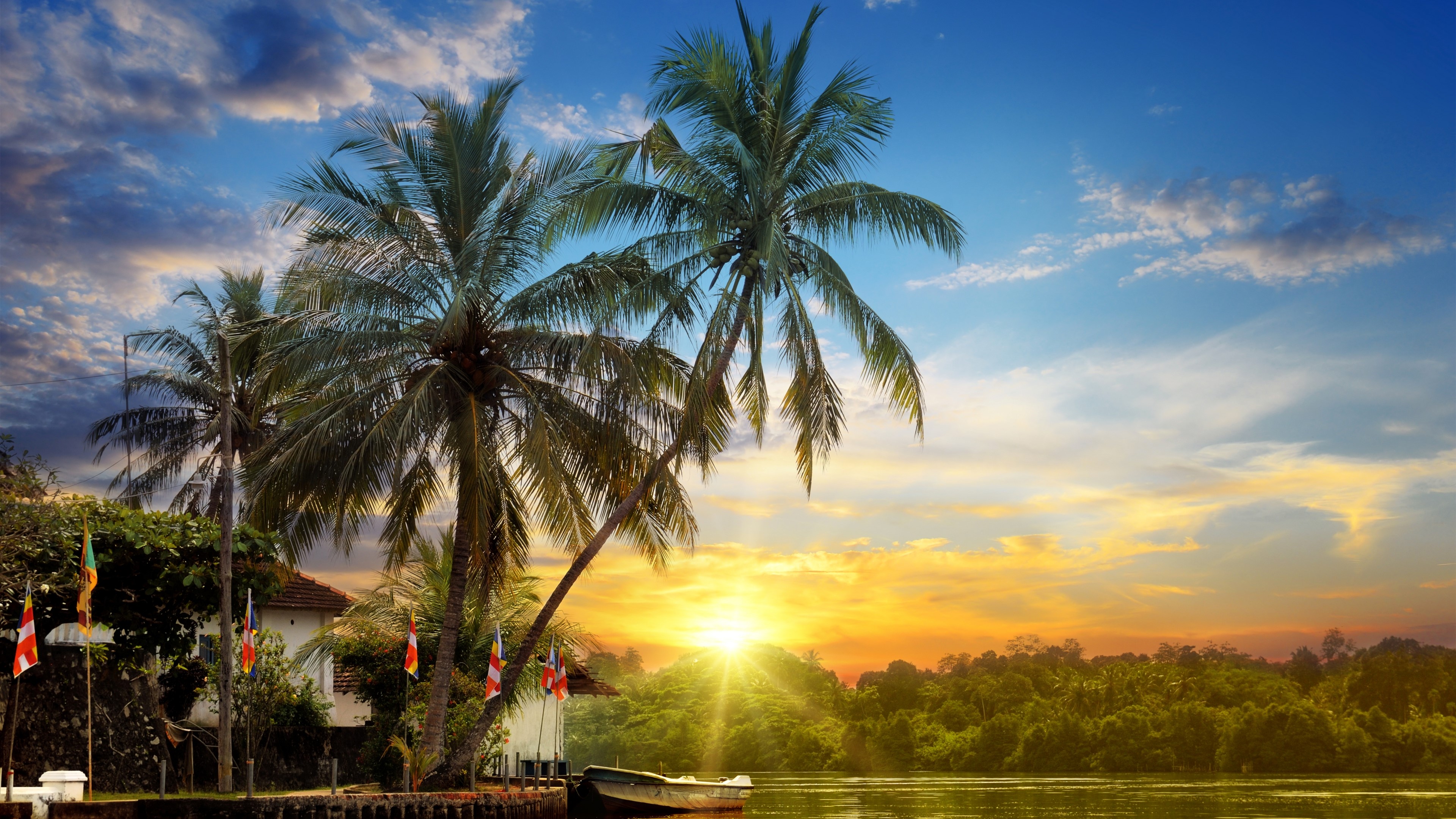 4K Tropics with Palm Trees and Sunset HD Wallpaper