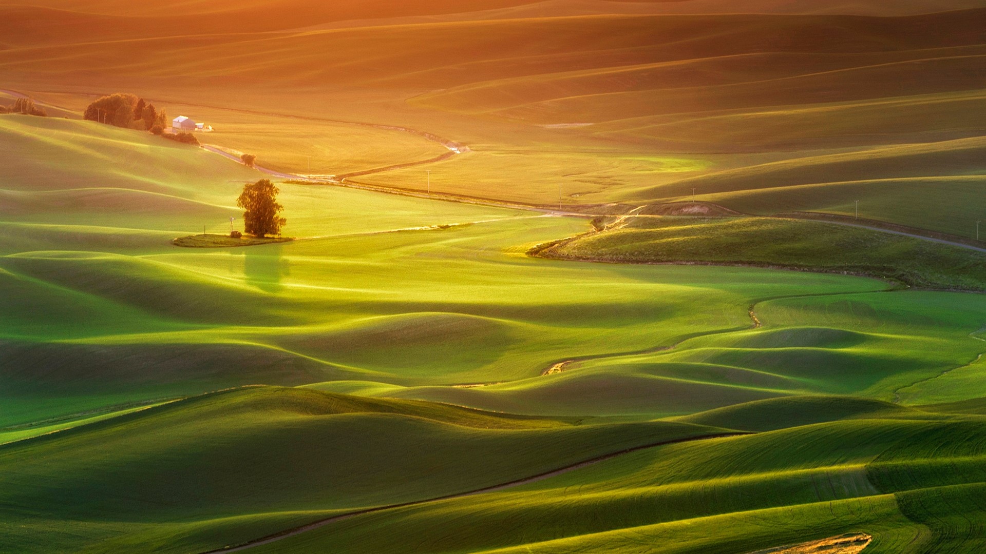 Rolling green hills at sunset HD Wallpaper