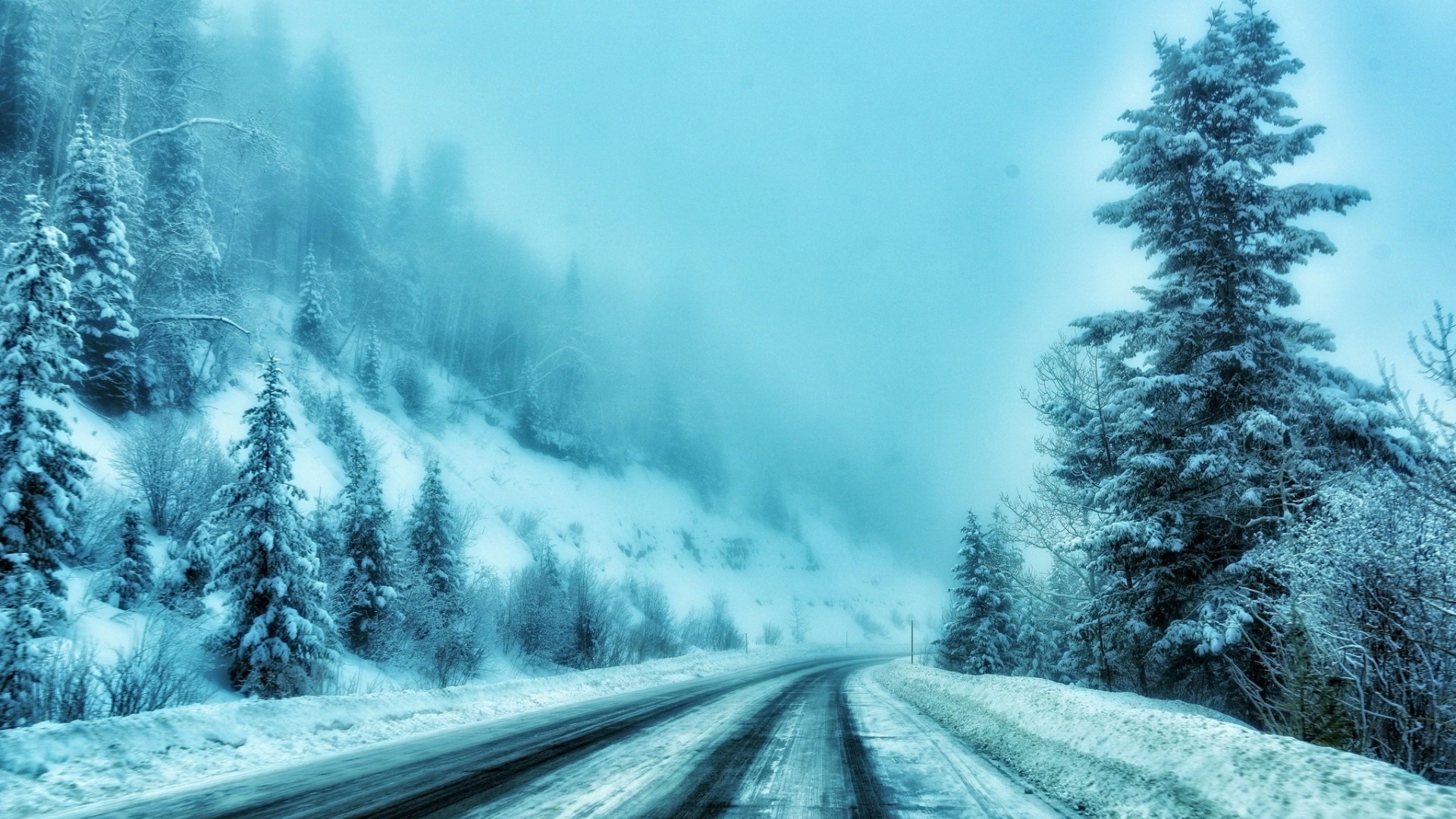 Snowy road through a winter forest HD Wallpaper