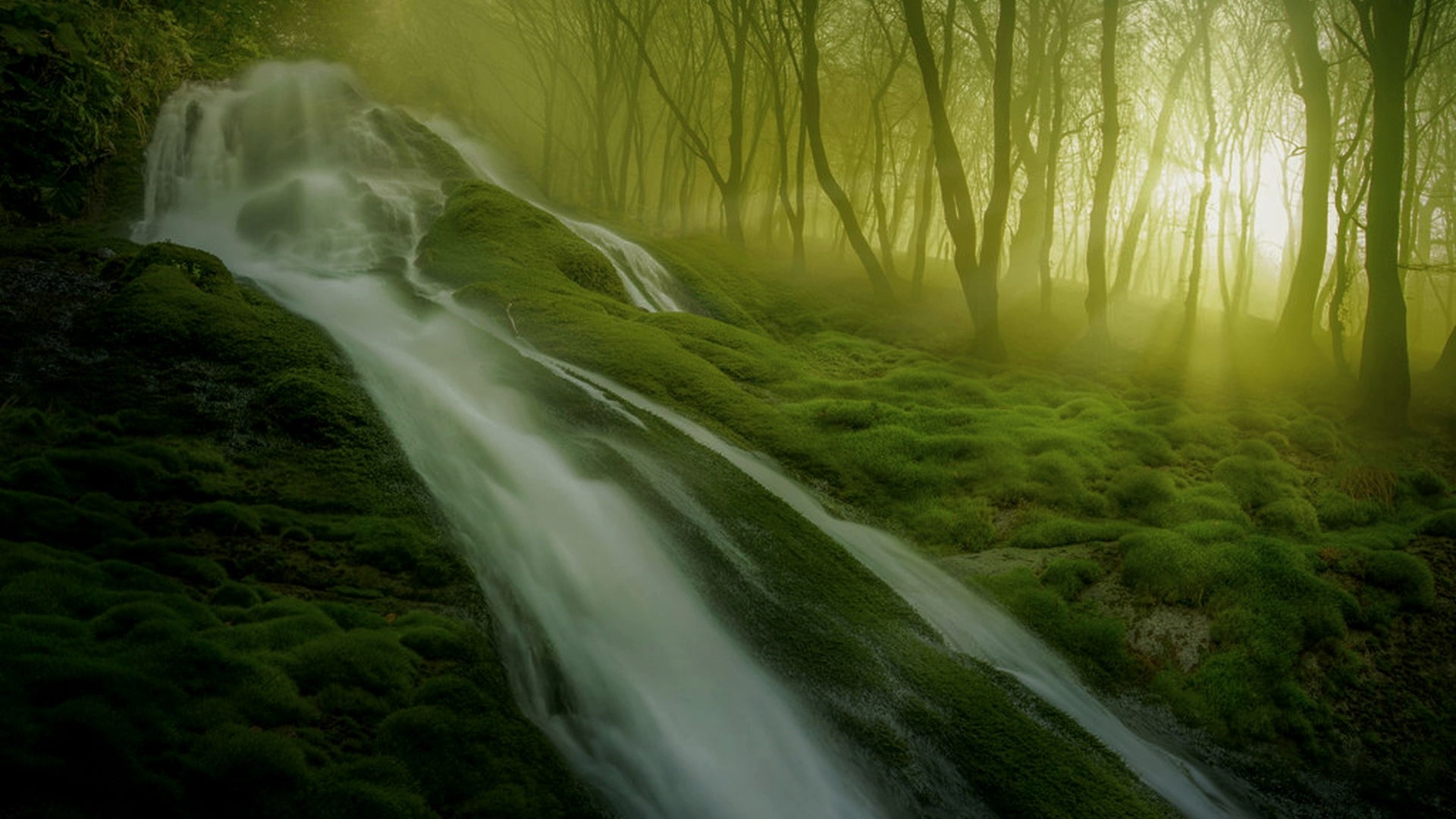Uchansu Waterfall in a Misty Forest HD Wallpaper