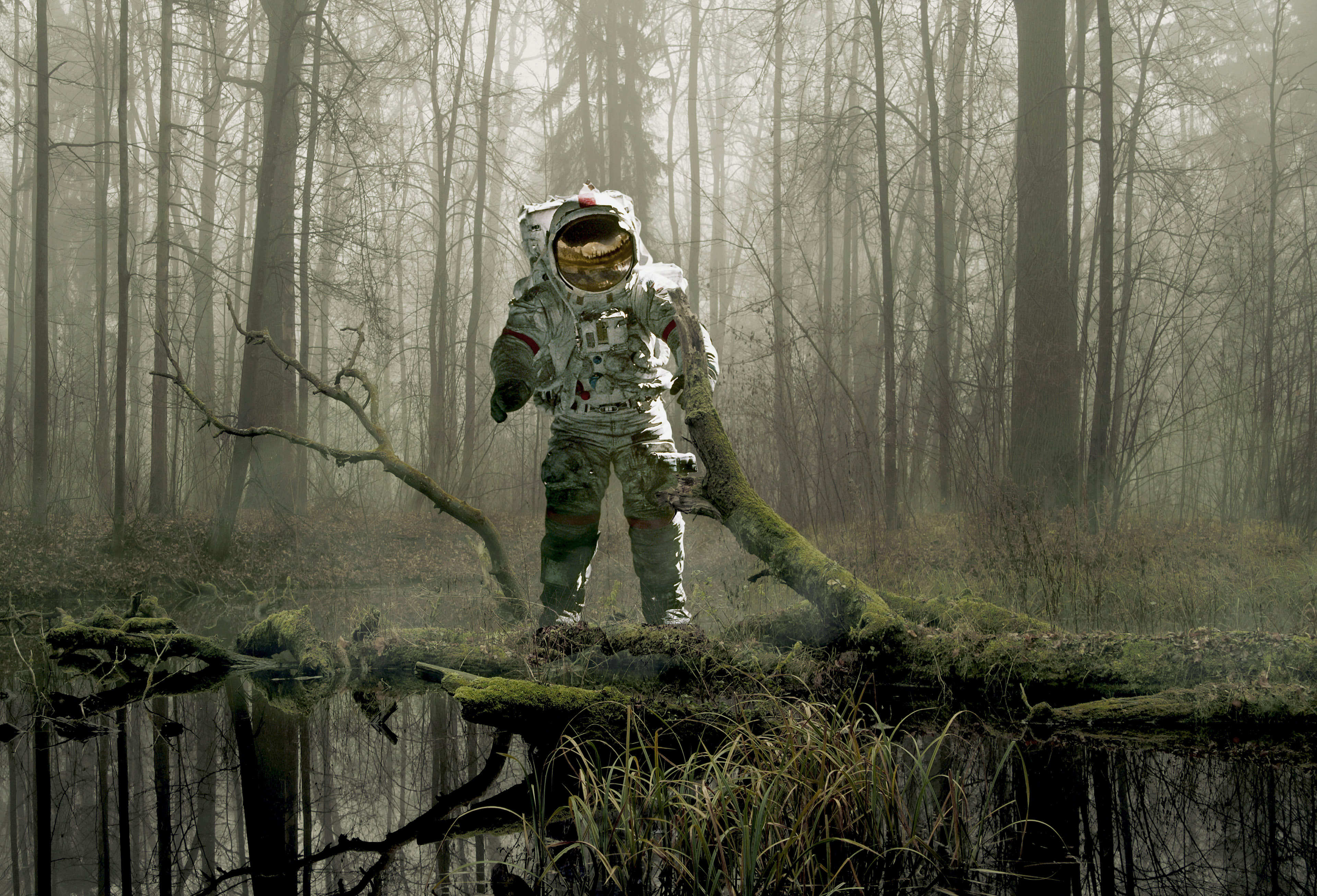 Astronaut in a foggy forest HD Wallpaper