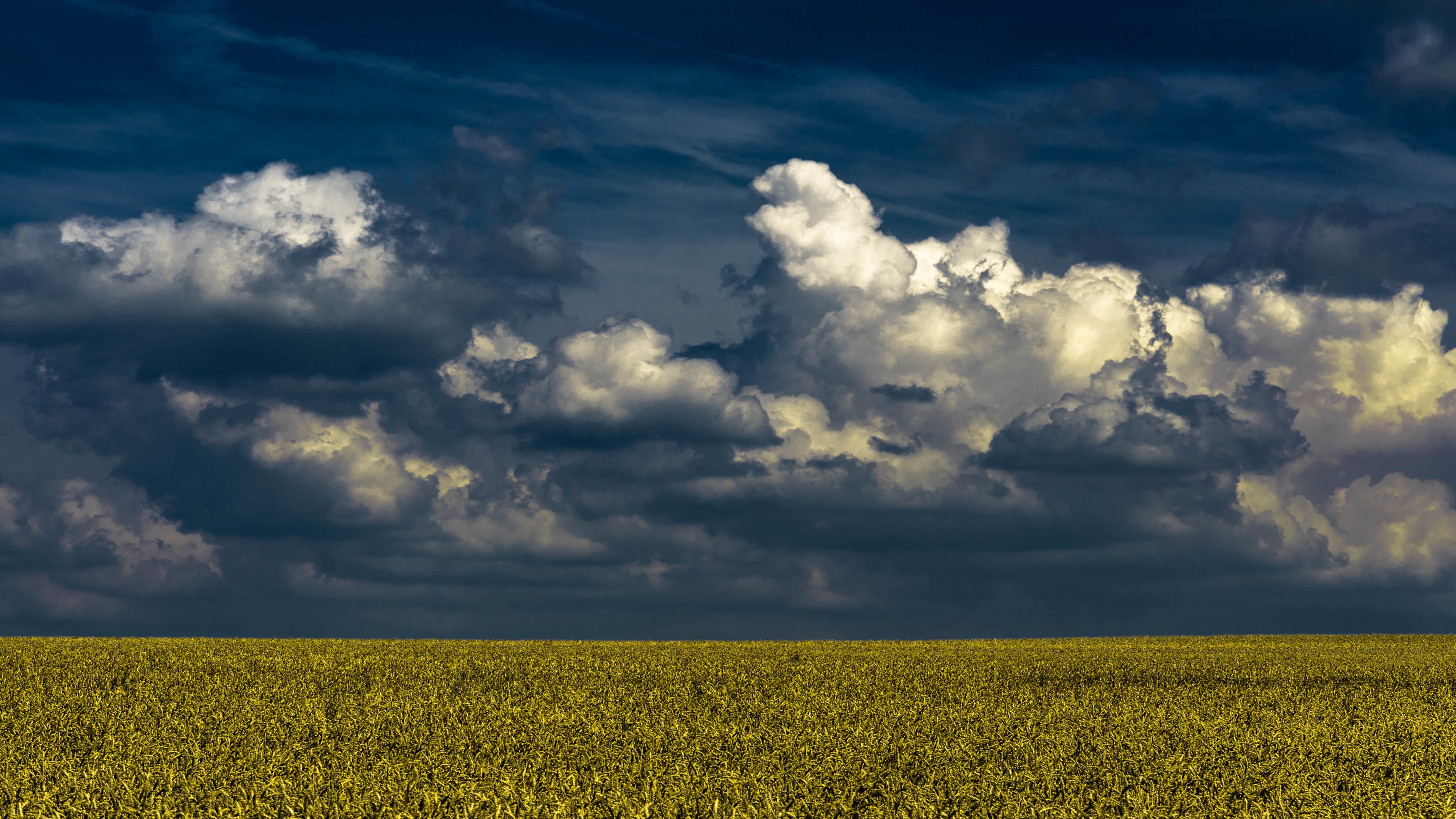4K Clouds Over Golden Field HD Wallpaper
