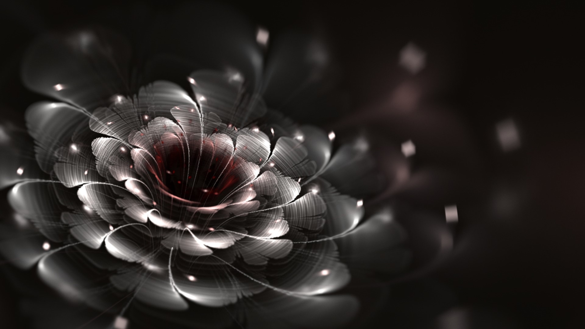 Abstract fractal flower with dark background HD Wallpaper