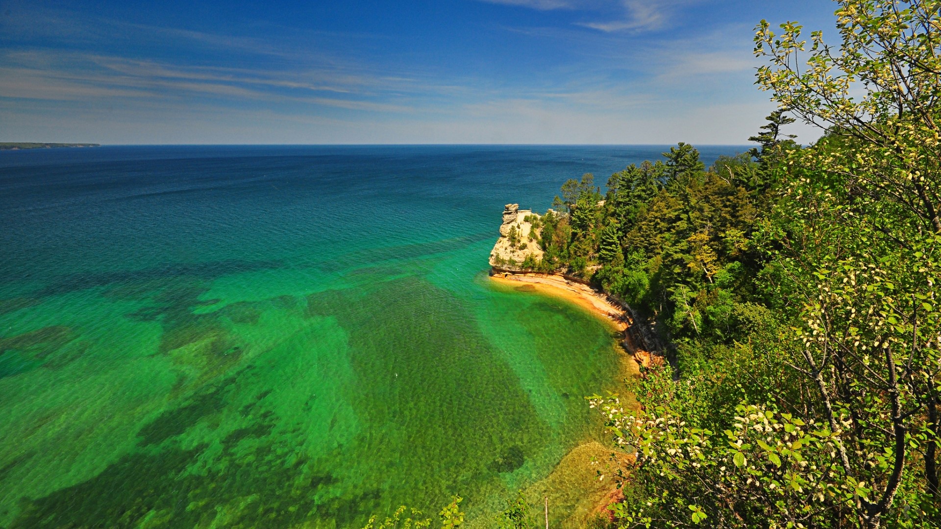 Clear turquoise water meets a rocky shore with trees HD Wallpaper