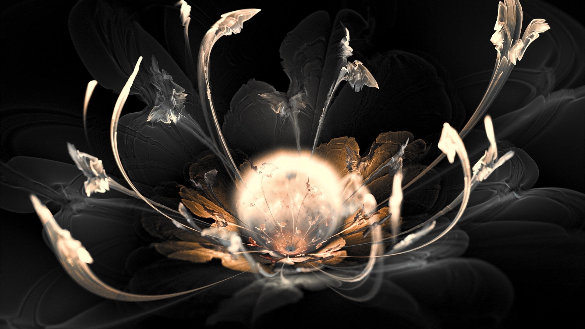 Abstract fractal flower with glowing center HD Wallpaper
