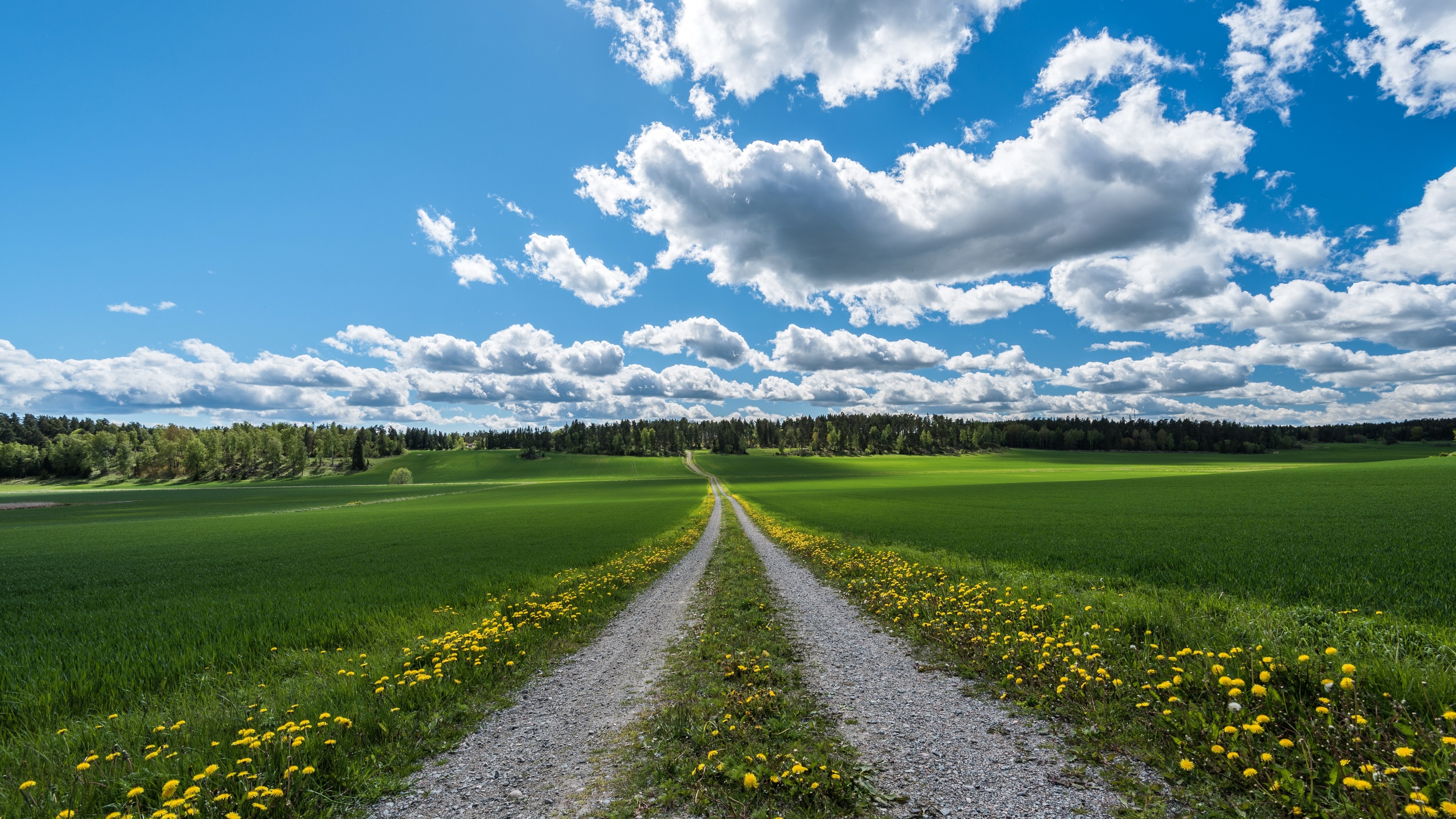 4K Country Road Through Green Fields HD Wallpaper