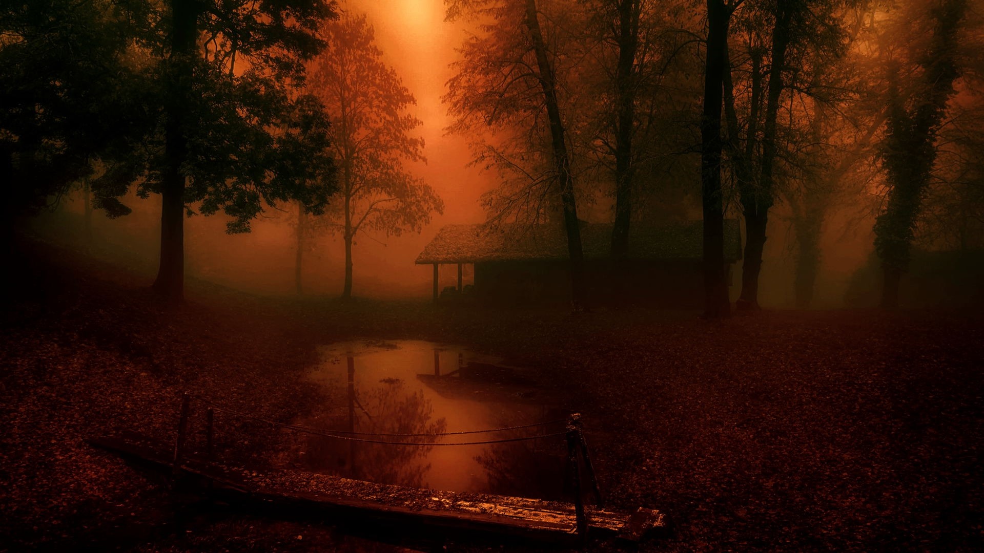 House in the woods by a pond HD Wallpaper