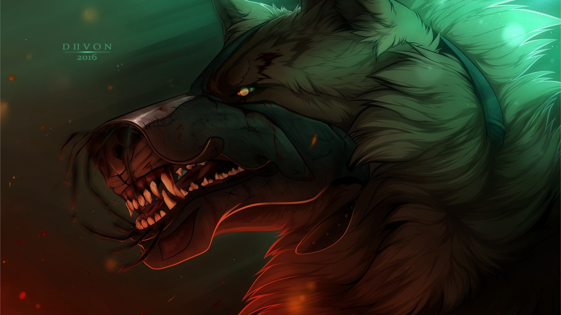 Wolf with muzzle and collar HD Wallpaper