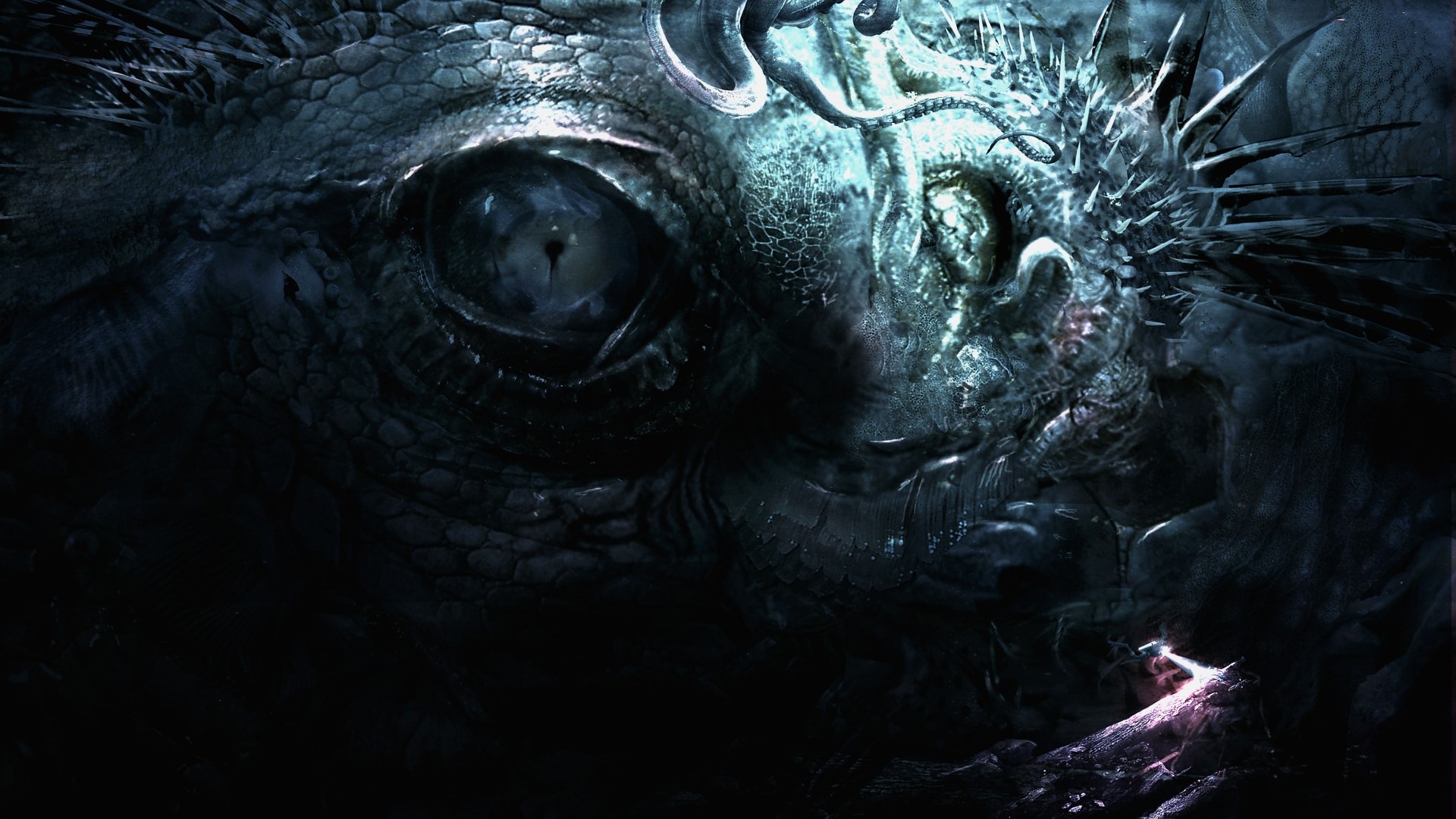 Close-up of a dragon's eye HD Wallpaper