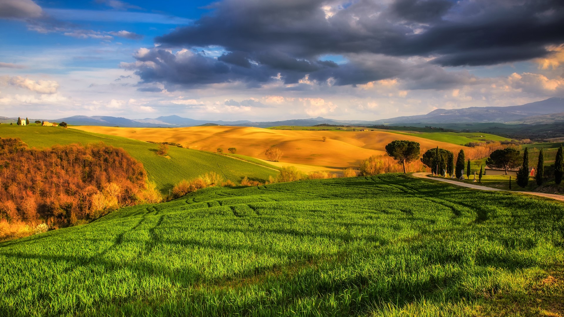 Rolling Tuscan Hills with Cypress Trees HD Wallpaper