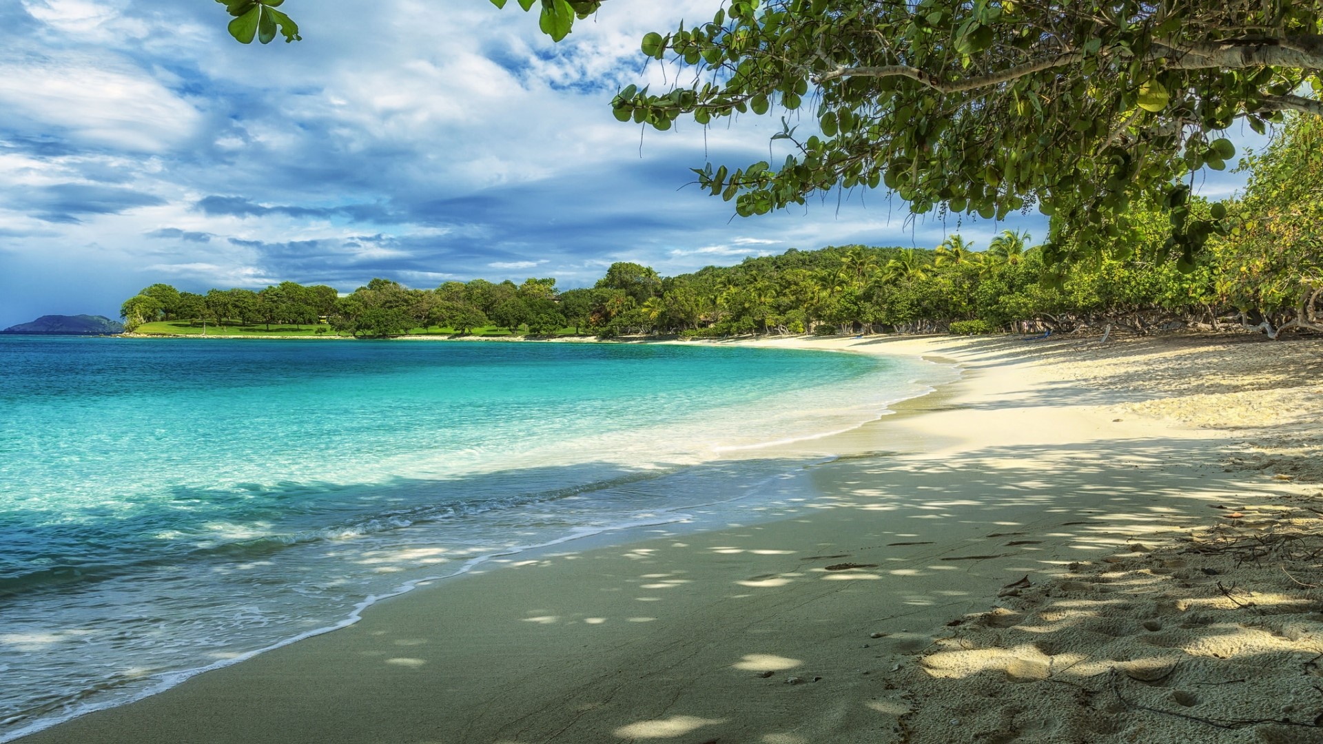 Tropical beach with turquoise water and green trees HD Wallpaper