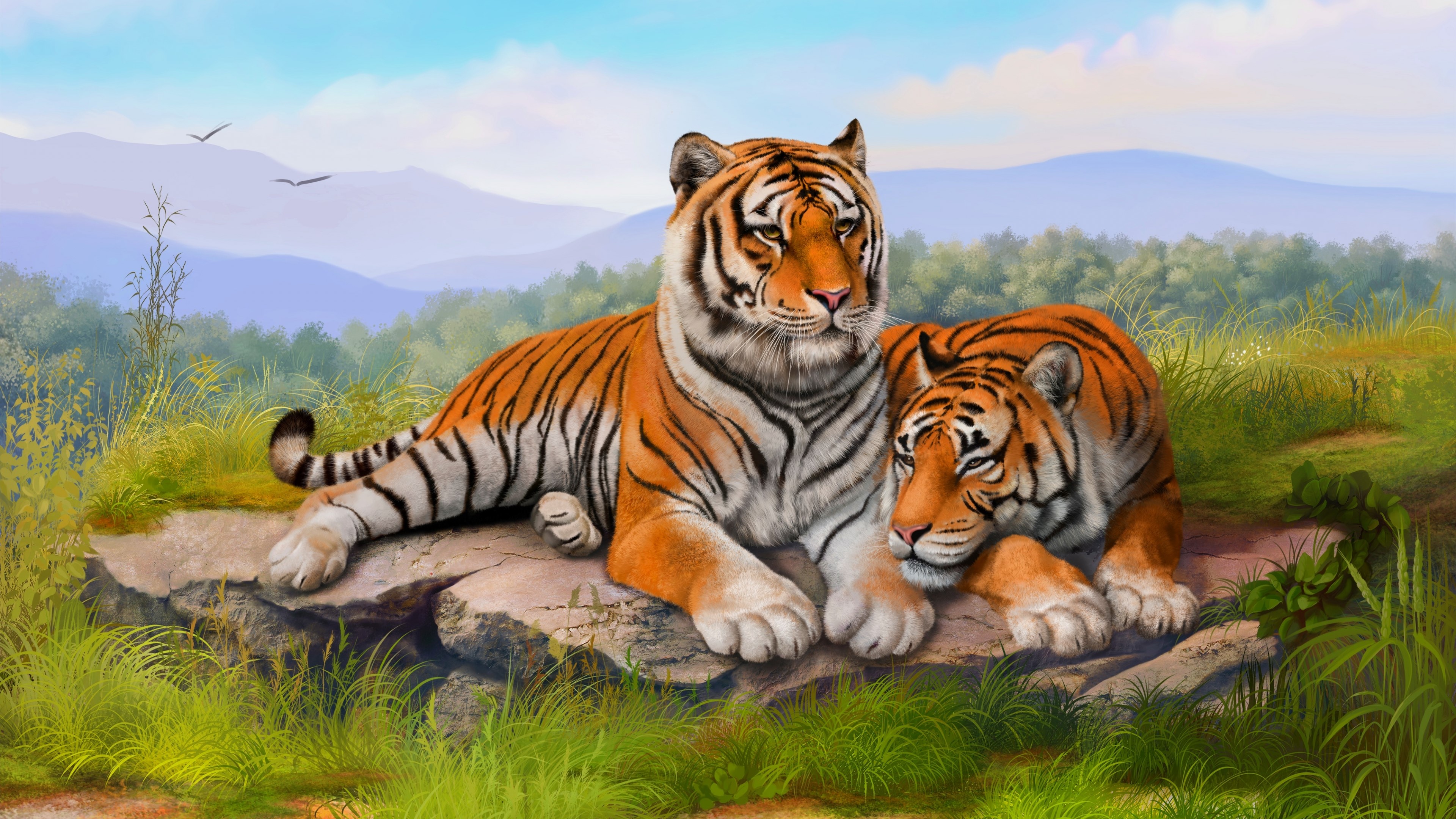 Two Tigers Resting on a Rock HD Wallpaper