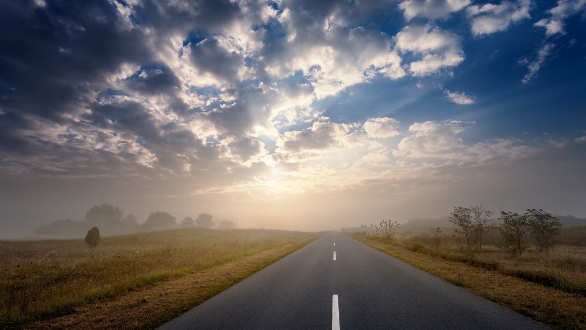 Road through a misty field at sunrise HD Wallpaper