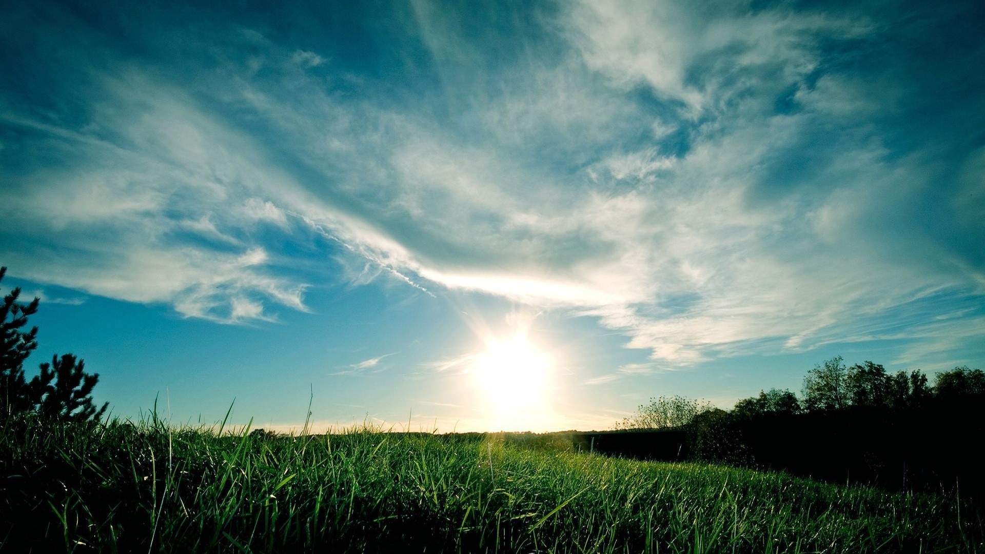 Sun shining over a grassy field with clouds HD Wallpaper