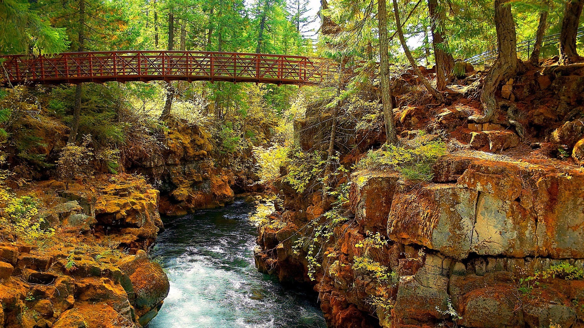Red bridge over a river in a forest HD Wallpaper