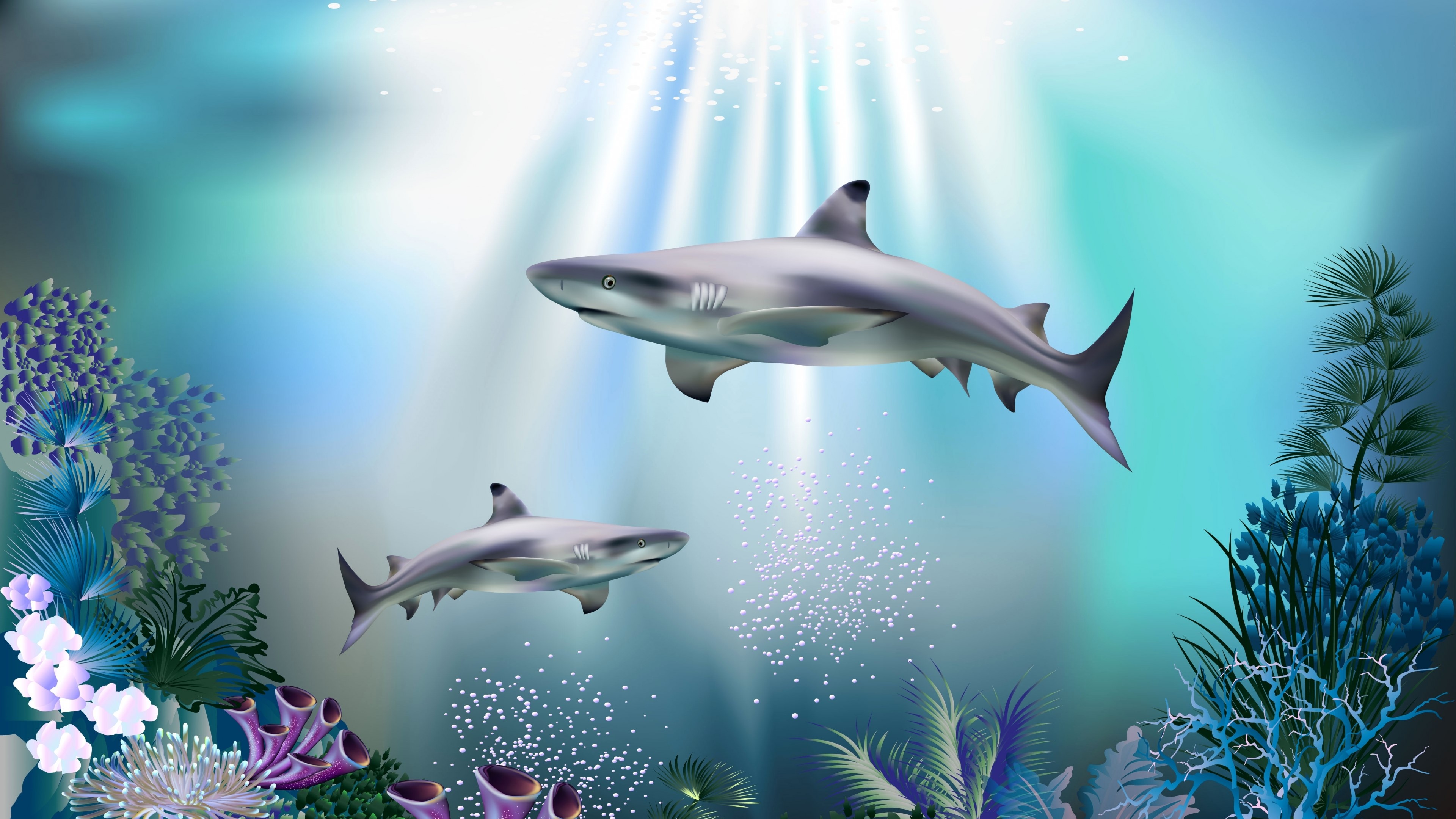 Two Sharks Swim in Underwater Sunlight HD Wallpaper